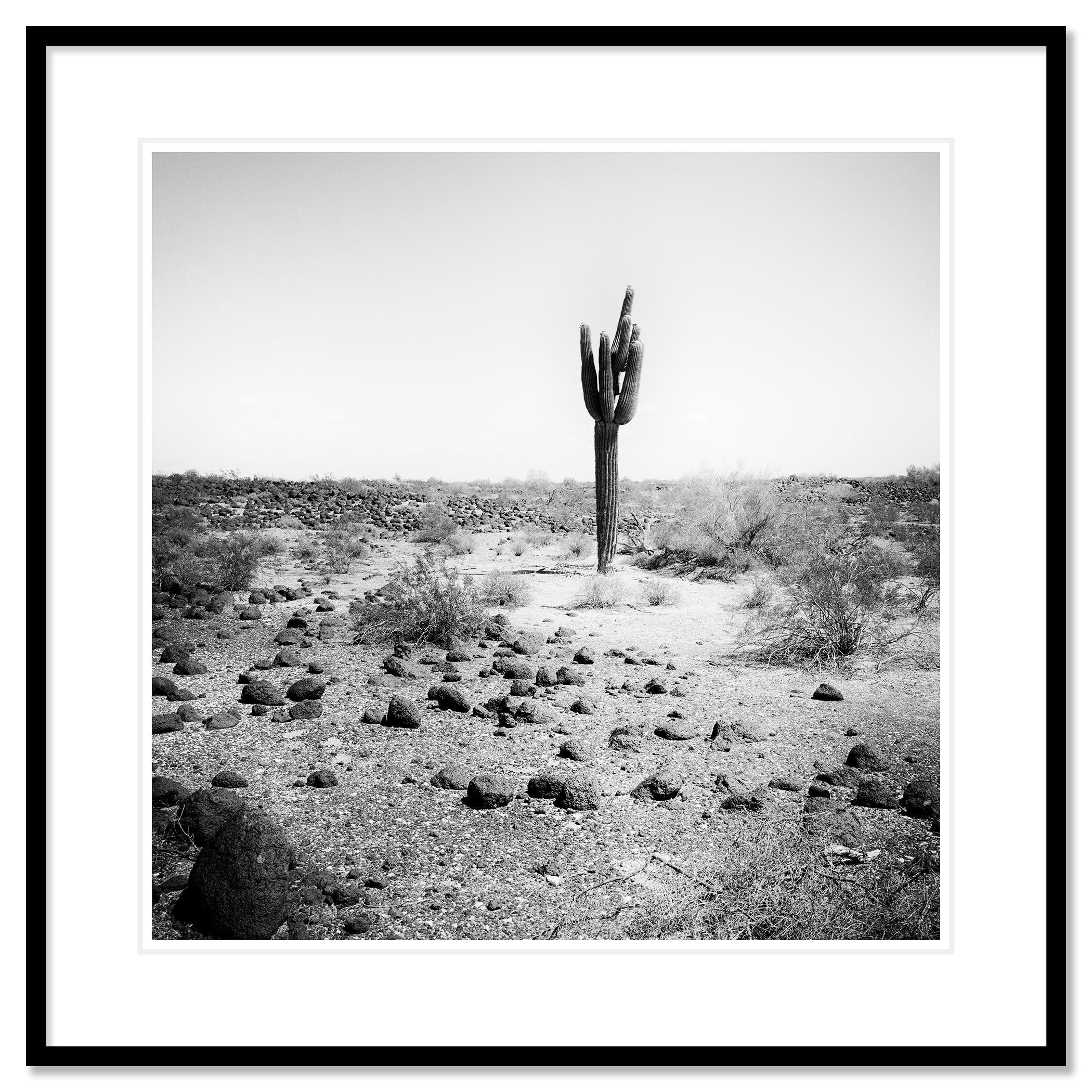 The last One, USA, photographie noir et blanc, édition limitée, paysage en vente 1