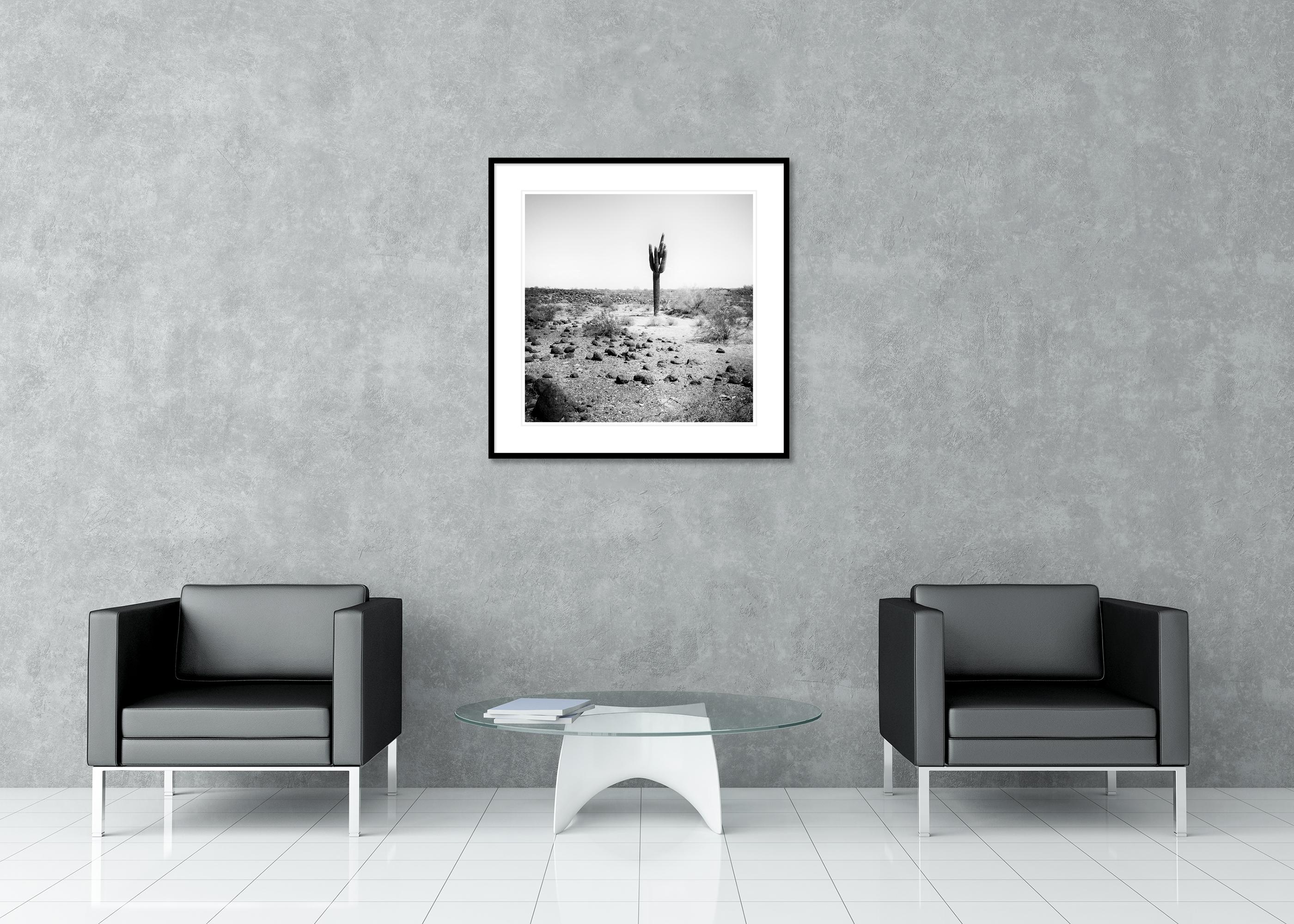 The last One, USA, photographie noir et blanc, édition limitée, paysage en vente 2