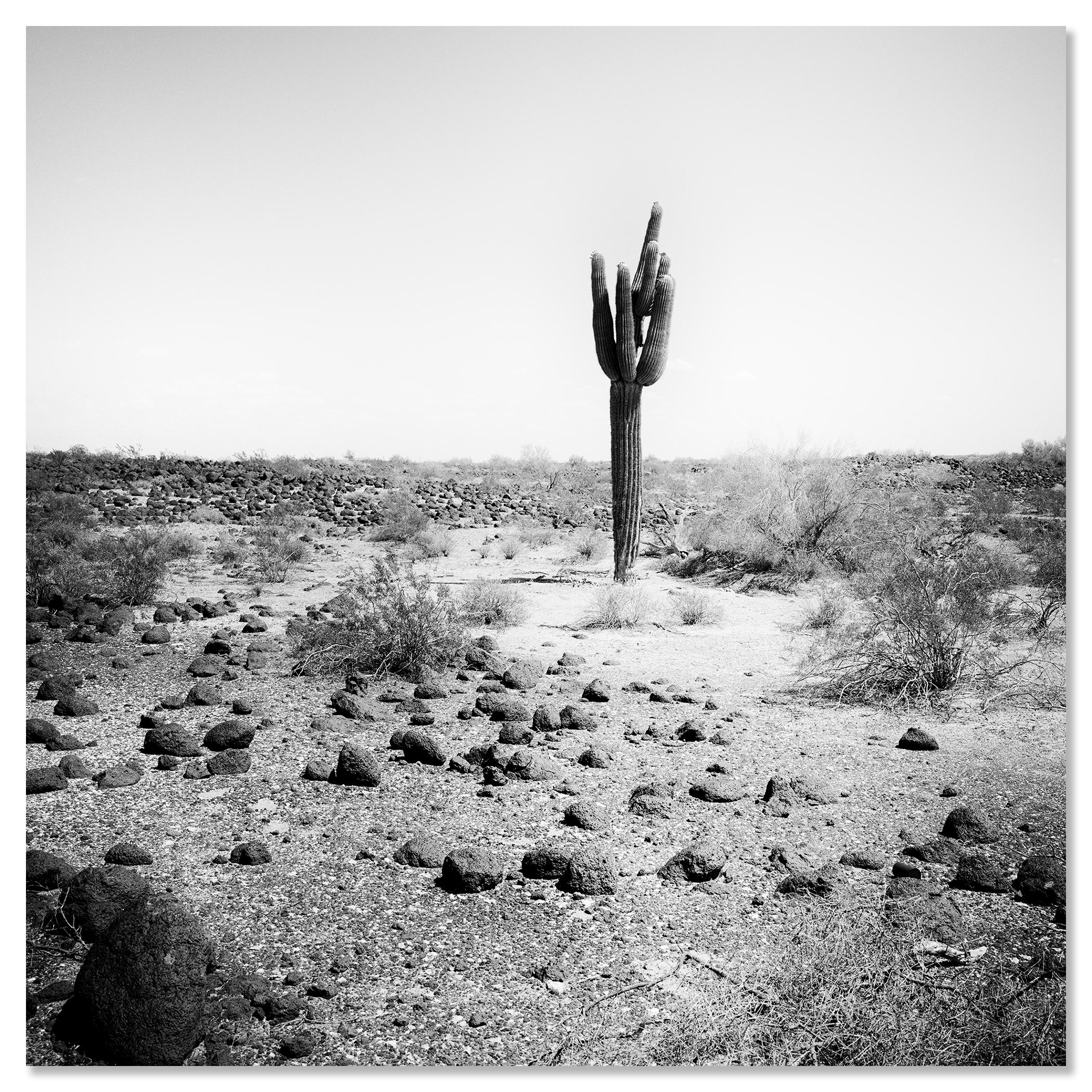 The last One, USA, photographie noir et blanc, édition limitée, paysage en vente 3
