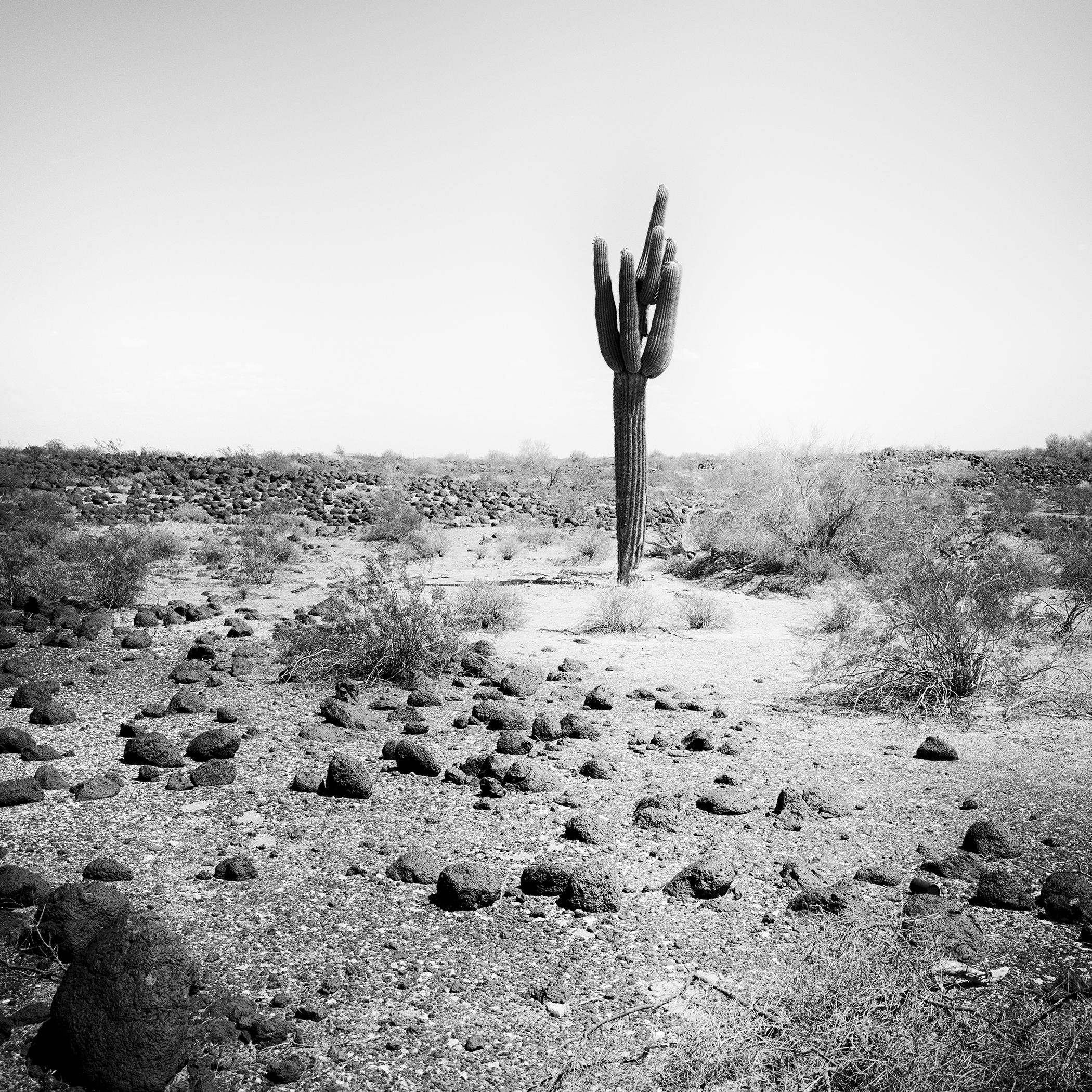 The last One, USA, photographie noir et blanc, édition limitée, paysage