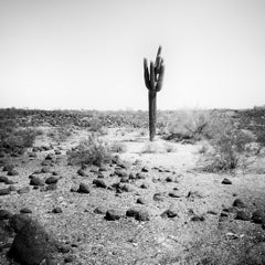El último, EE.UU., fotografía en blanco y negro, edición limitada, paisaje