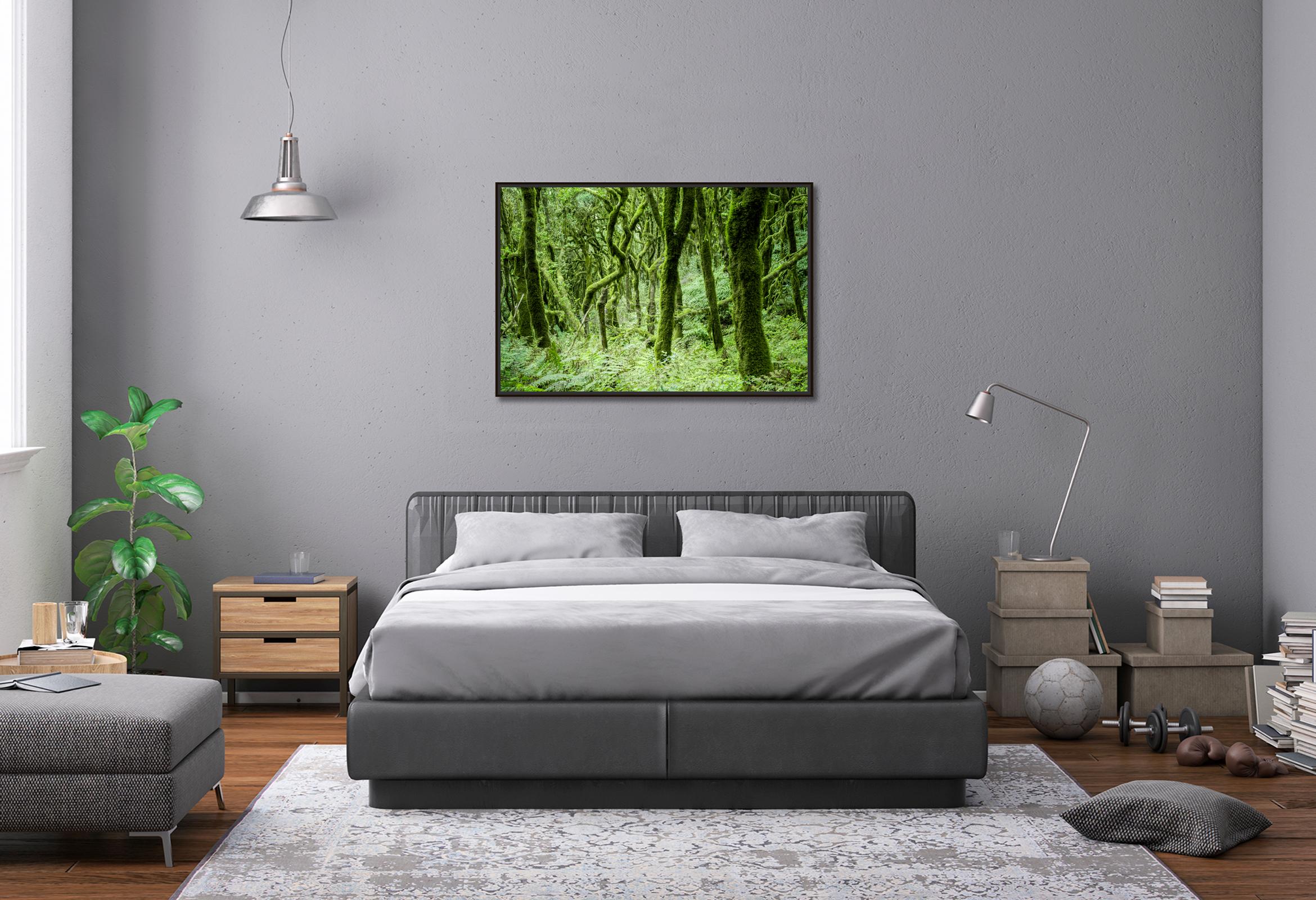 The Laurel Forest of la Gomera, Farbfotografie, Landschaft, limitierte Auflage im Angebot 2