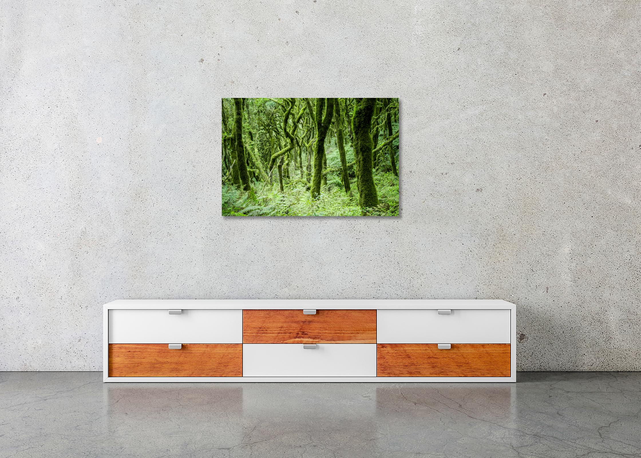 The Laurel Forest of la Gomera, Farbfotografie, Landschaft, limitierte Auflage im Angebot 3