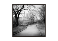 The San Remo Central Park New York monochrome limited edition
