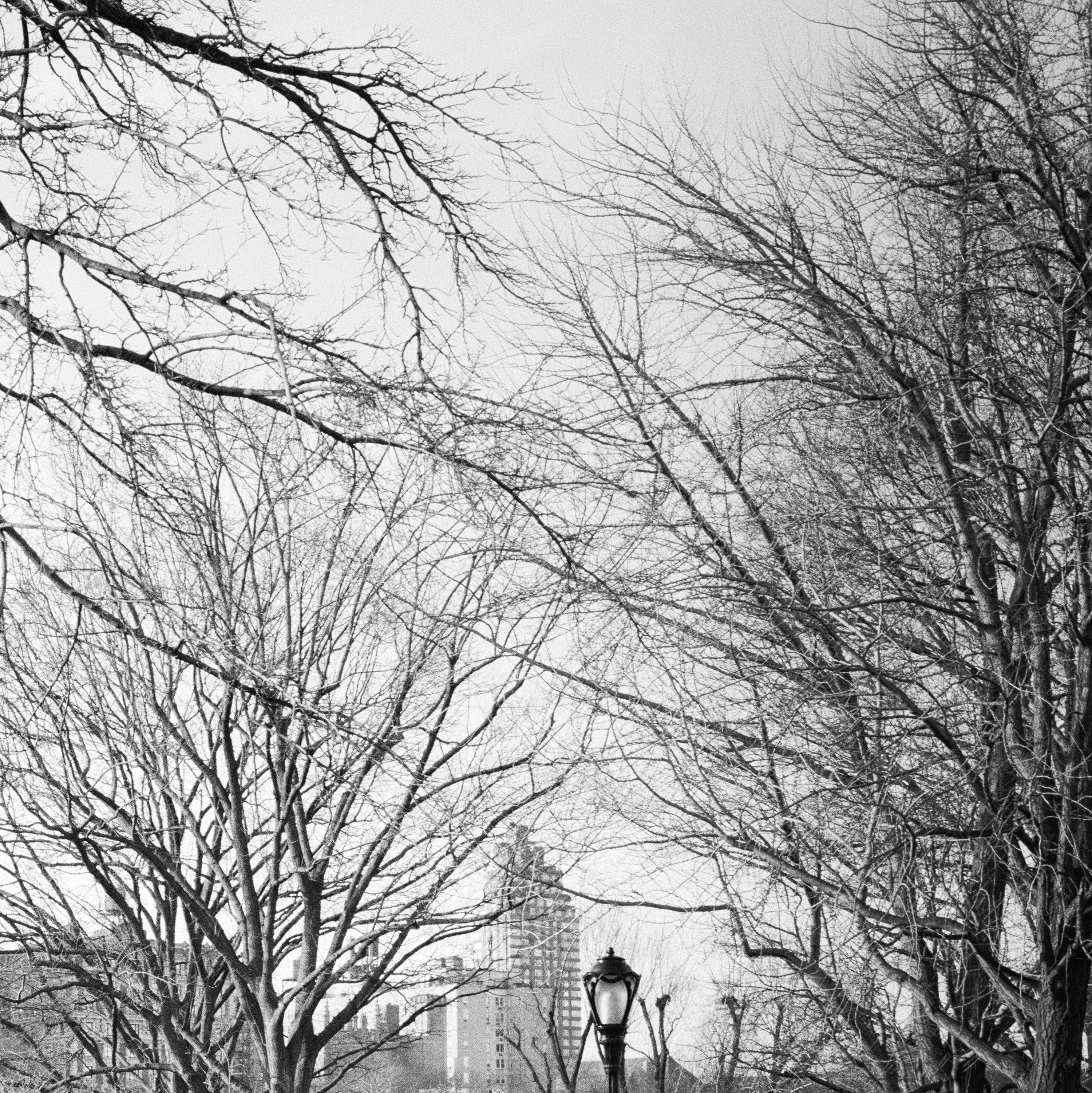 Das San Remo, Central Park, New York City, Schwarz-Weiß-Stadtbildfotografie im Angebot 5