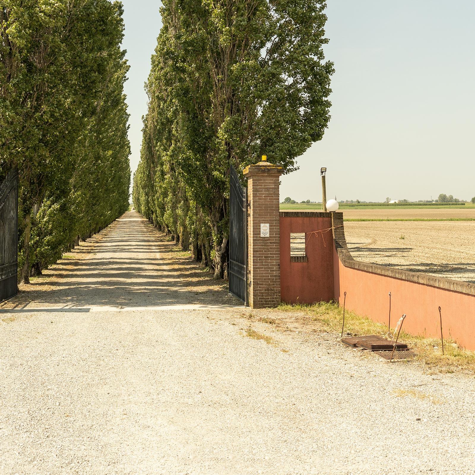 The Way to the Vineyard, Toskana, Farbfotografie, Landschaft, limitierte Auflage im Angebot 5