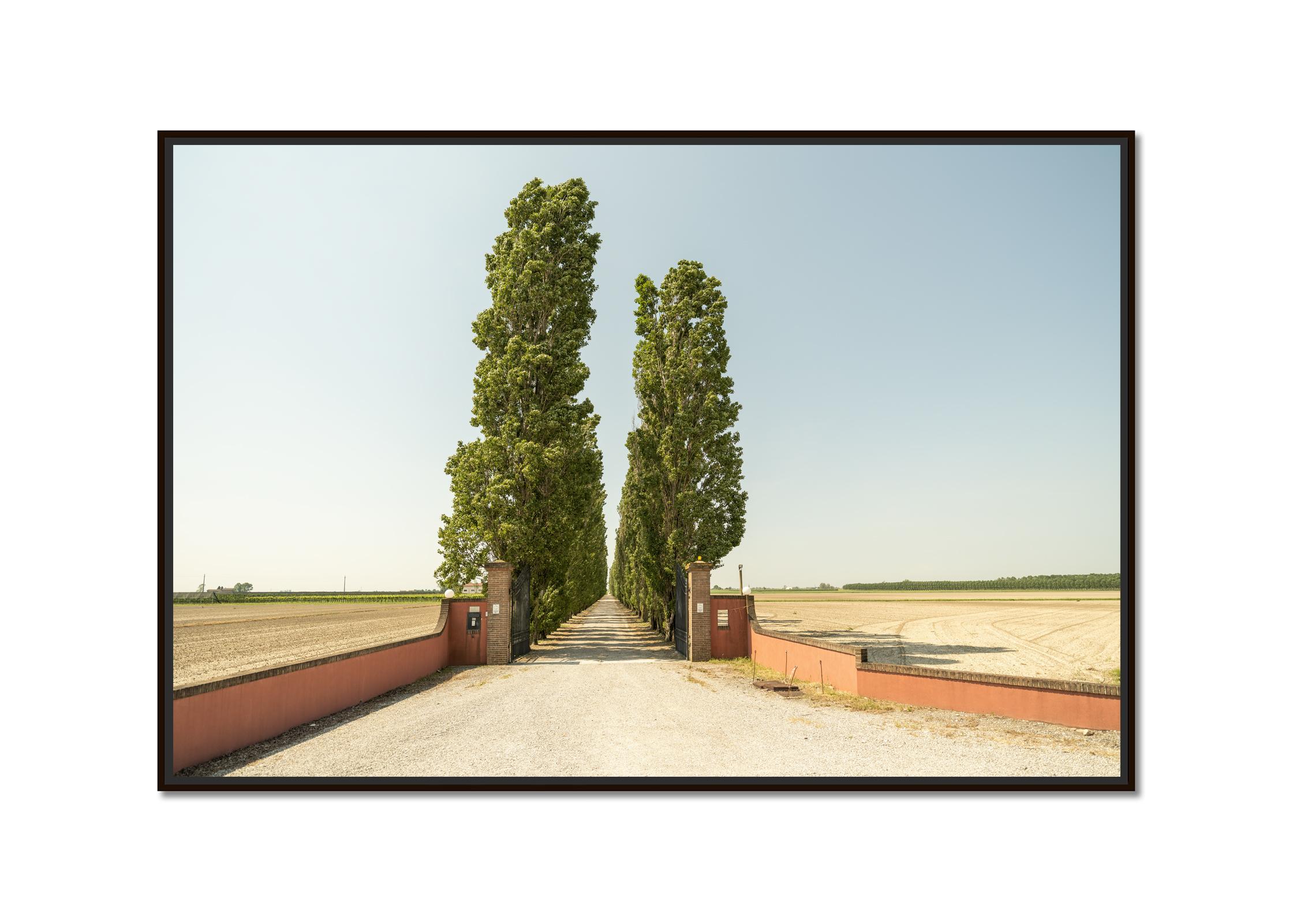 The Way to the Vineyard, Toskana, Farbfotografie, Landschaft, limitierte Auflage – Photograph von Gerald Berghammer