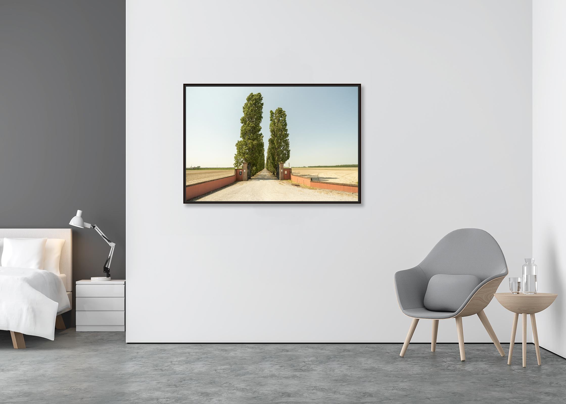 The Way to the Vineyard, Toskana, Farbfotografie, Landschaft, limitierte Auflage (Zeitgenössisch), Photograph, von Gerald Berghammer