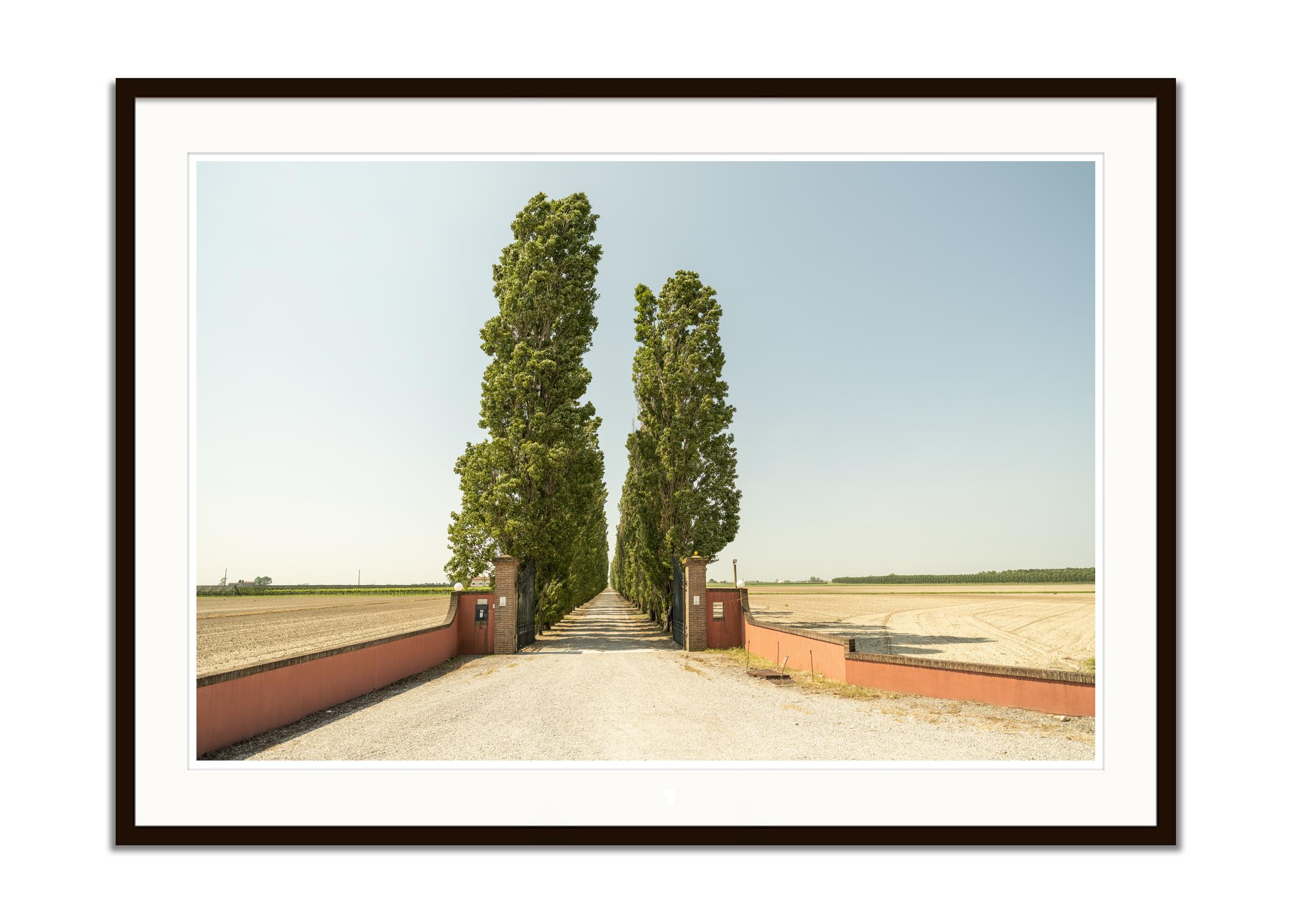 The Way to the Vineyard, Toskana, Farbfotografie, Landschaft, limitierte Auflage (Grau), Color Photograph, von Gerald Berghammer