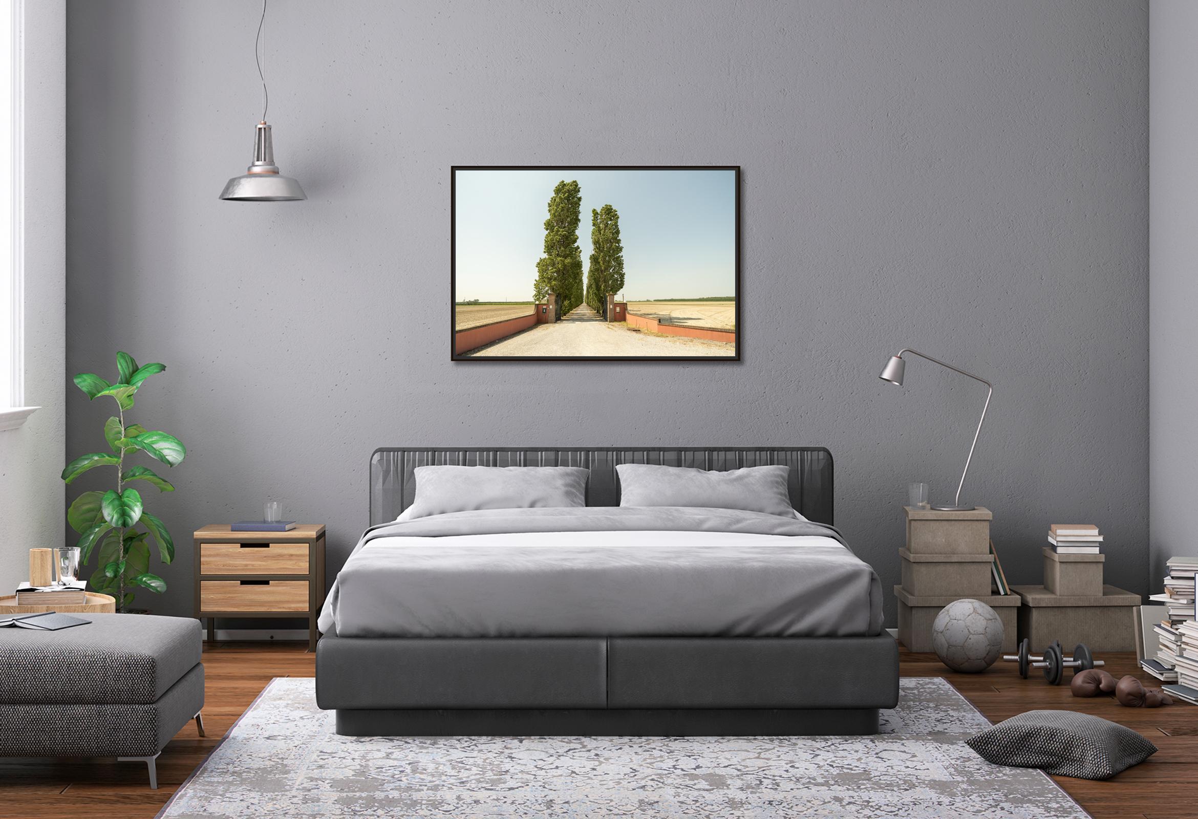 The Way to the Vineyard, Toskana, Farbfotografie, Landschaft, limitierte Auflage im Angebot 1