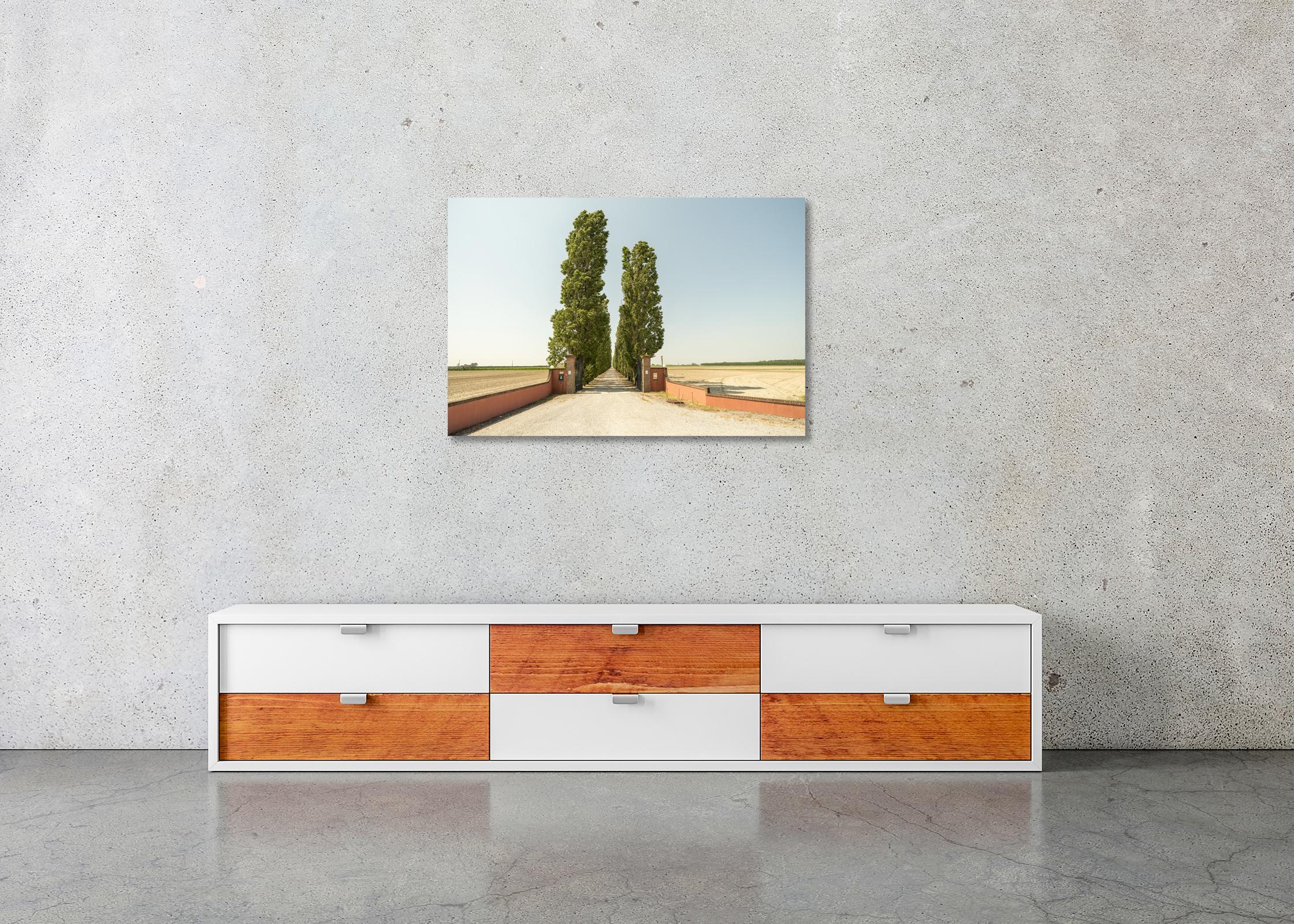 The Way to the Vineyard, Toskana, Farbfotografie, Landschaft, limitierte Auflage im Angebot 2