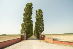 El Camino a la Viña, Toscana, fotografía en color, paisaje, edición limitada