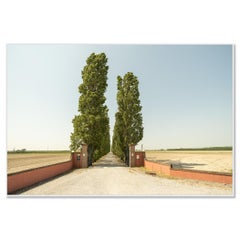The Way to the Vineyard, Tuscany, Italy, Color Landscape Photography, Limited
