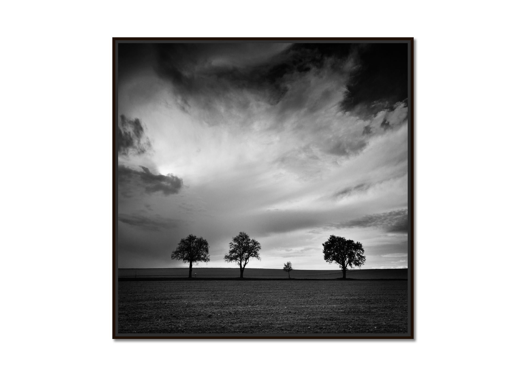Tre alberi e mezzo, fotografia monocromatica di paesaggio, stampa in edizione limitata - Photograph di Gerald Berghammer