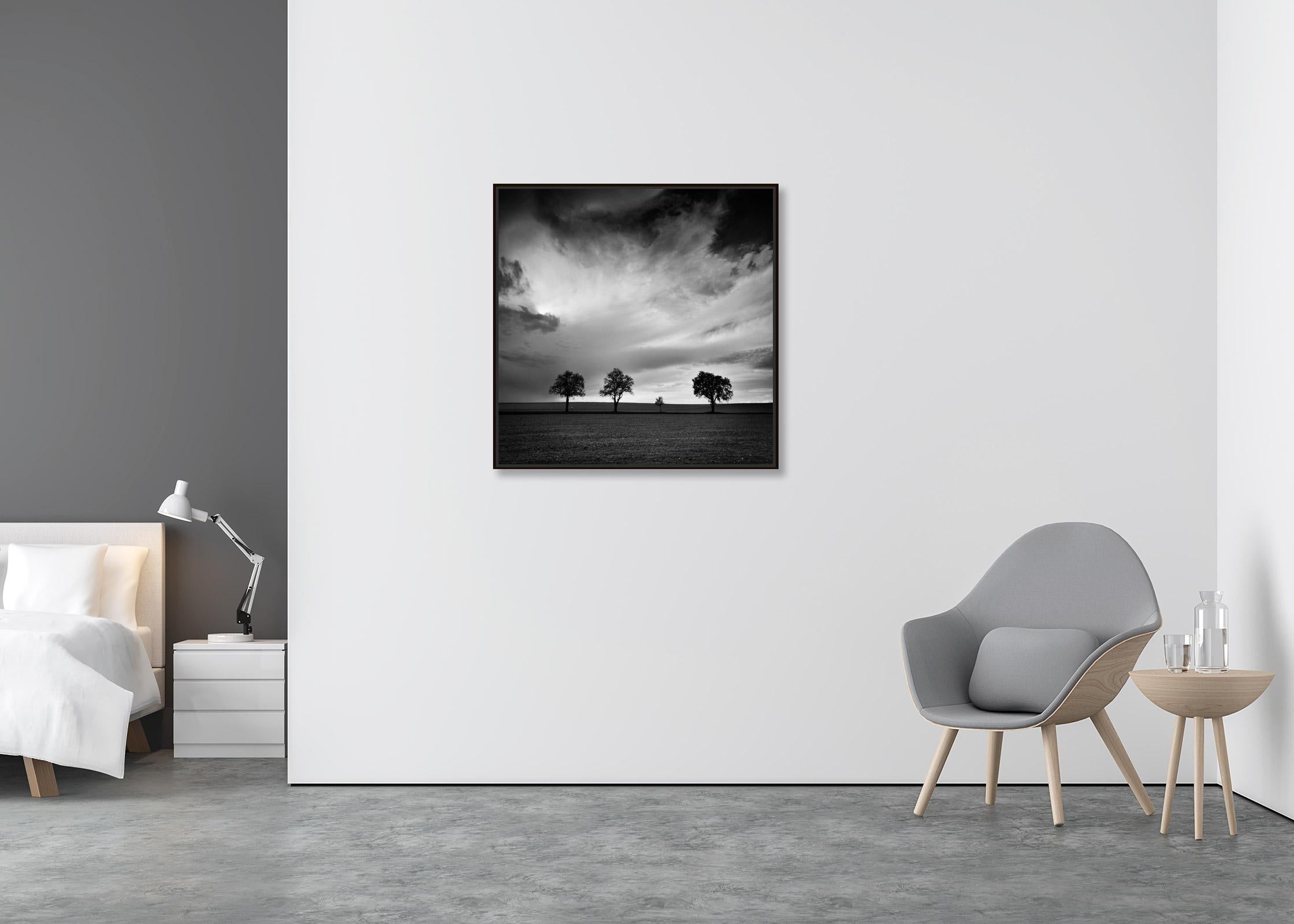 Tre alberi e mezzo, fotografia monocromatica di paesaggio, stampa in edizione limitata - Photograph Contemporaneo di Gerald Berghammer