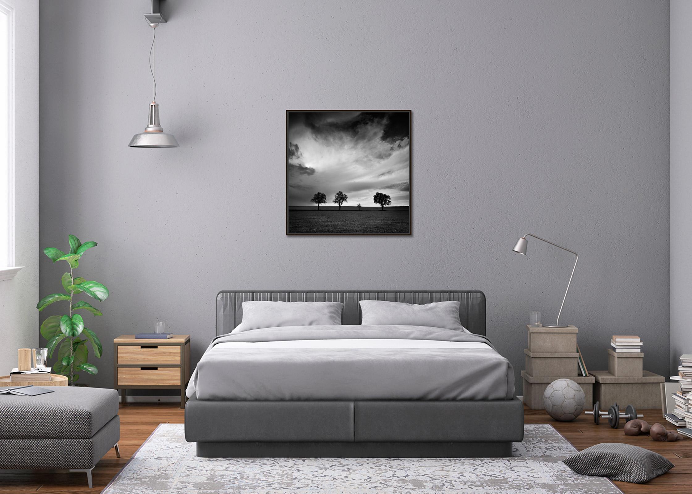 Tre alberi e mezzo, fotografia monocromatica di paesaggio, stampa in edizione limitata in vendita 2