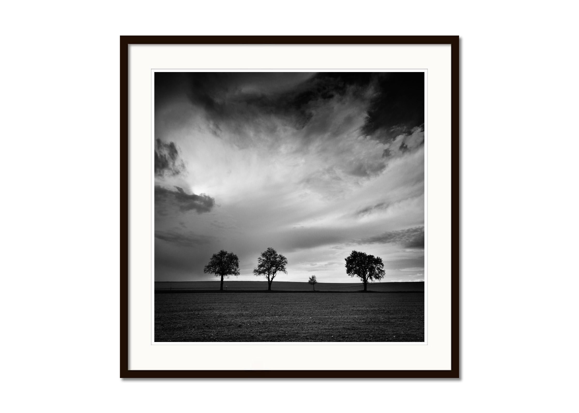 Tre alberi e mezzo, fotografia monocromatica di paesaggio, stampa in edizione limitata - Black and White Photograph Grigio di Gerald Berghammer