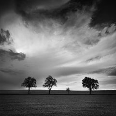 Three and a half Tree, monochrome landscape photograph, limited edtion print
