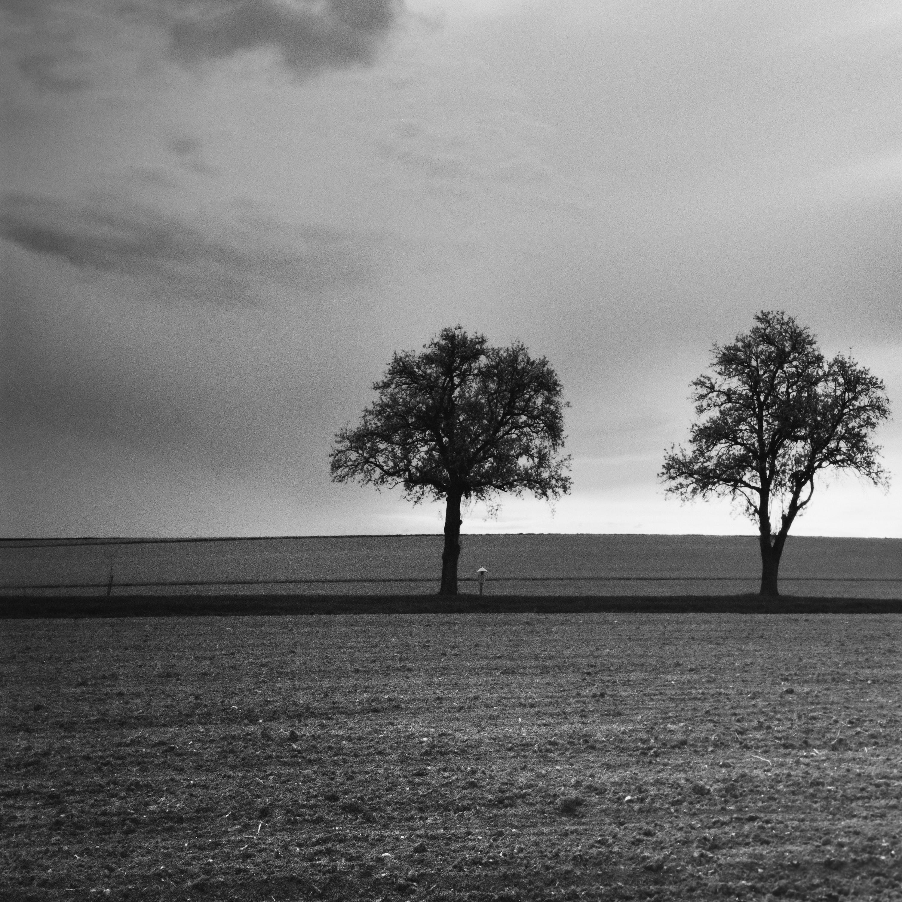 Dreieinhalb Baum, sehr wolkenverhangen, Sturm, Schwarz-Weiß-Landschaftsfotografie im Angebot 5
