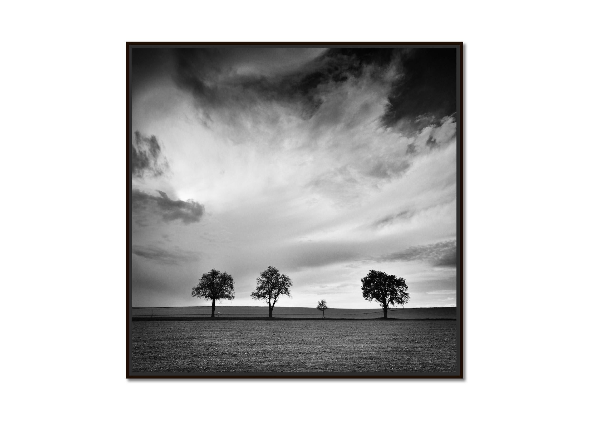 Dreieinhalb Baum, sehr wolkenverhangen, Sturm, Schwarz-Weiß-Landschaftsfotografie – Photograph von Gerald Berghammer