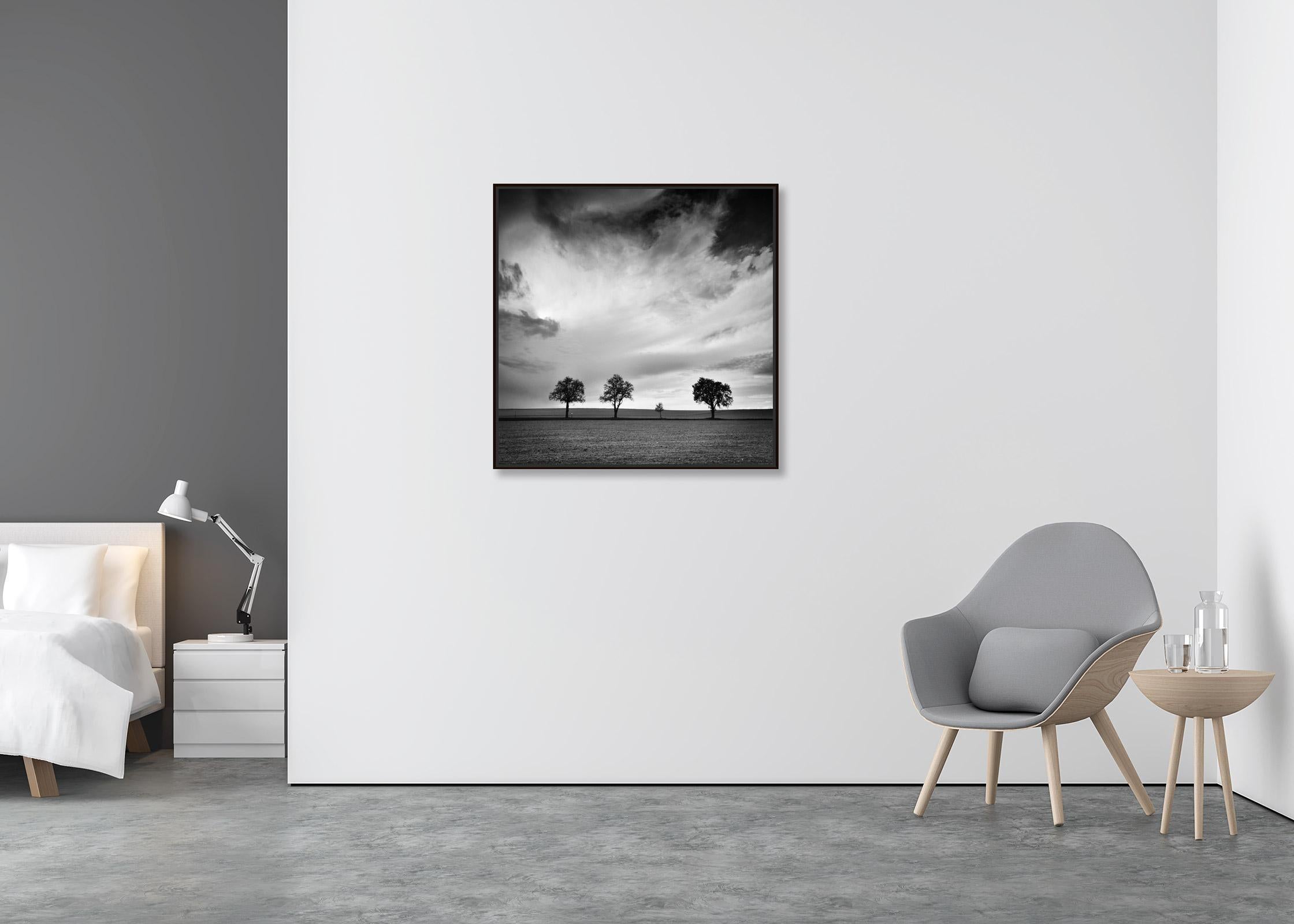 Dreieinhalb Baum, sehr wolkenverhangen, Sturm, Schwarz-Weiß-Landschaftsfotografie (Zeitgenössisch), Photograph, von Gerald Berghammer