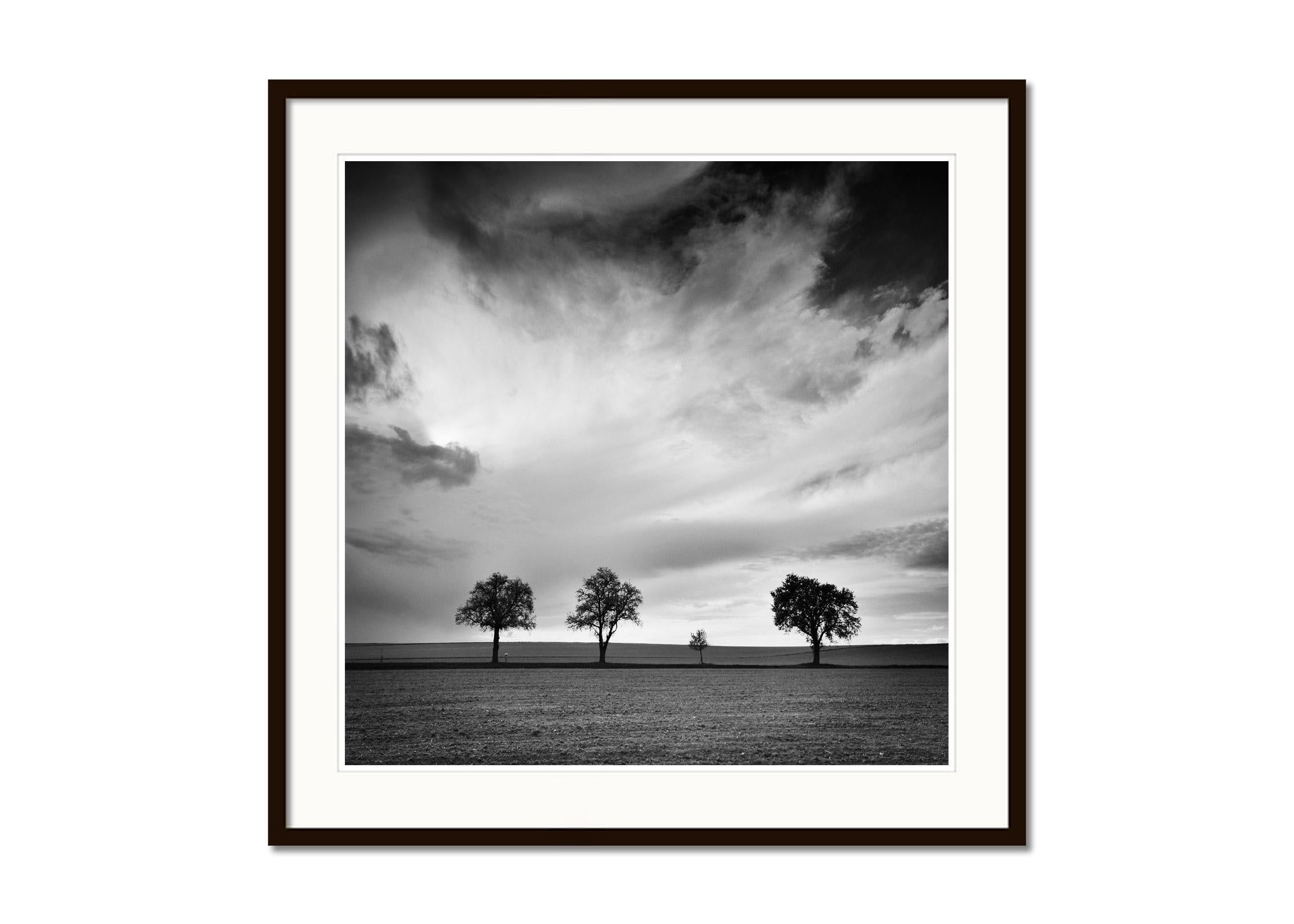 Dreieinhalb Baum, sehr wolkenverhangen, Sturm, Schwarz-Weiß-Landschaftsfotografie (Grau), Landscape Photograph, von Gerald Berghammer