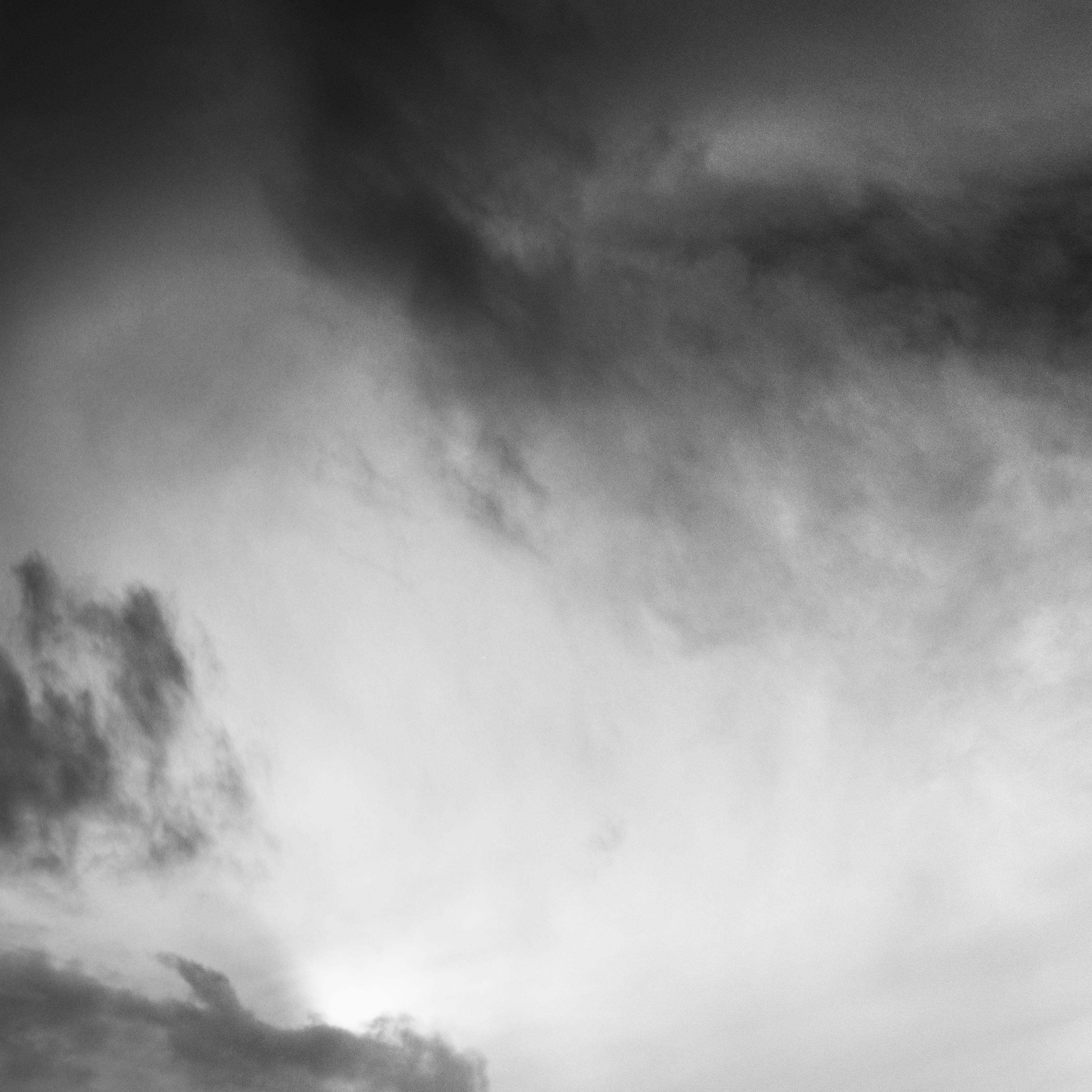 Dreieinhalb Baum, sehr wolkenverhangen, Sturm, Schwarz-Weiß-Landschaftsfotografie im Angebot 3