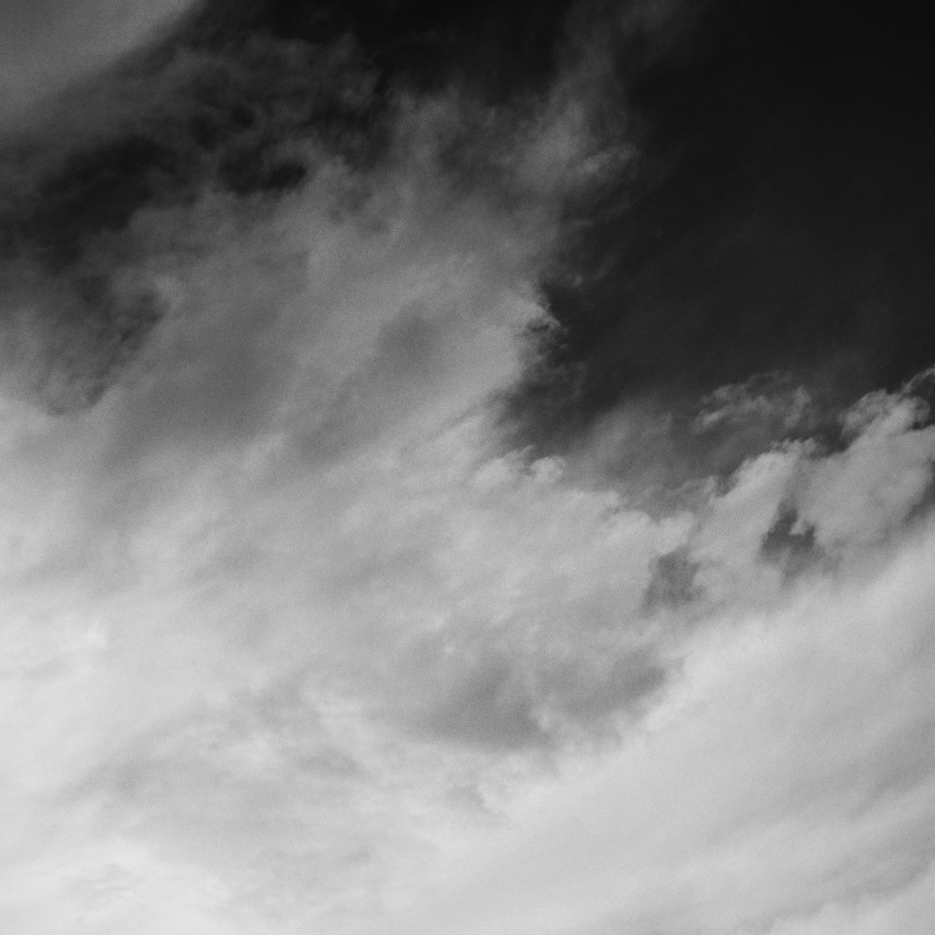 Dreieinhalb Baum, sehr wolkenverhangen, Sturm, Schwarz-Weiß-Landschaftsfotografie im Angebot 4