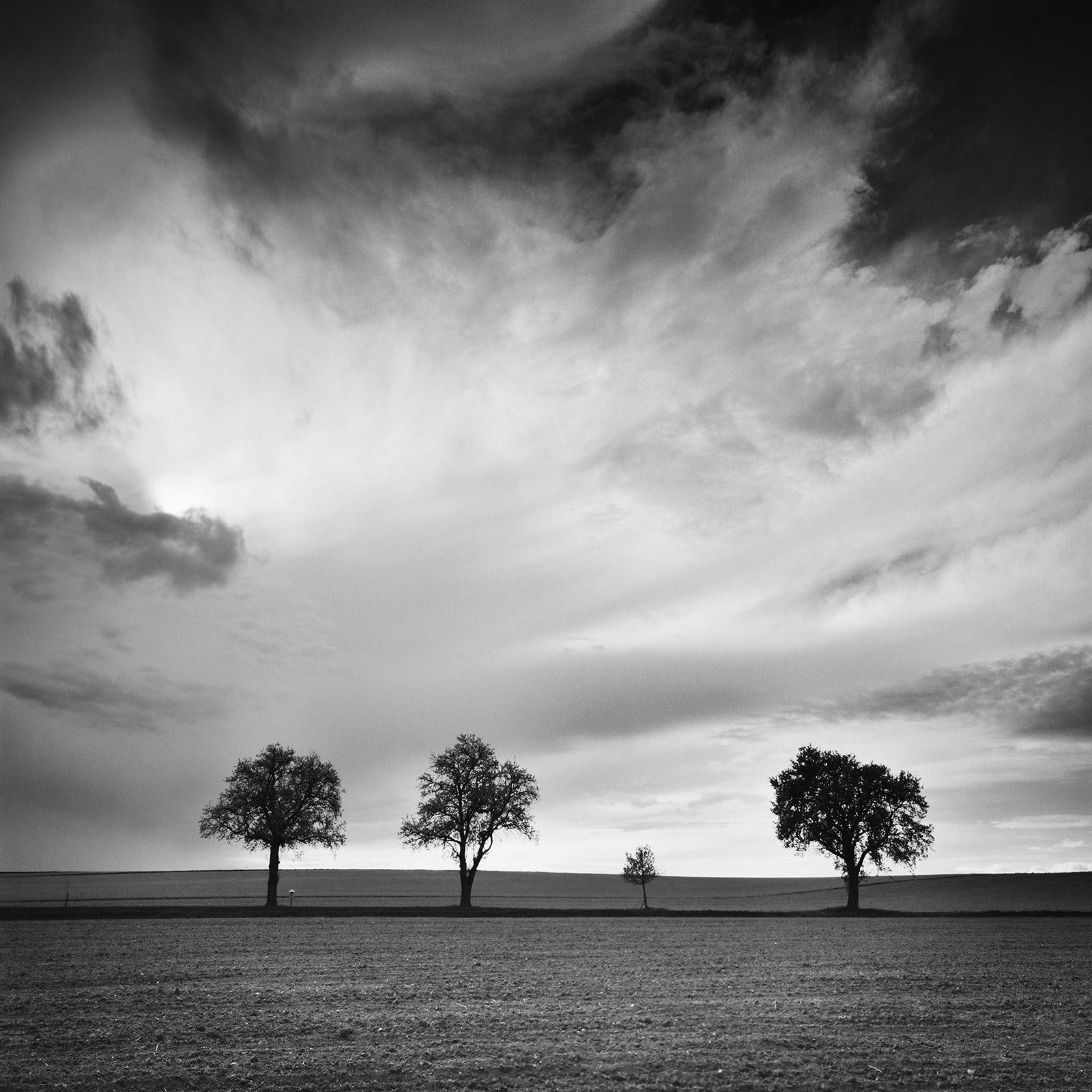 Dreieinhalb Baum, sehr wolkenverhangen, Sturm, Schwarz-Weiß-Landschaftsfotografie