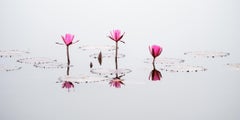 Color Photography