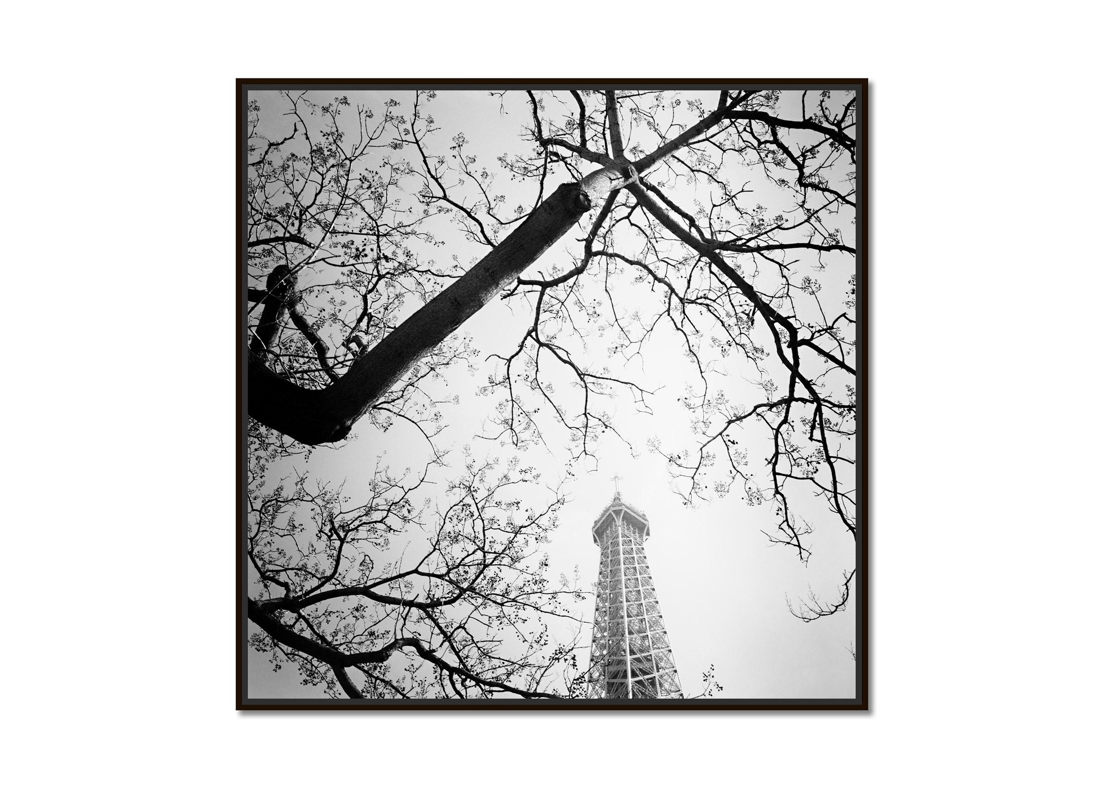 Tree and the Eiffel Tower, Paris, France, black white photography, landscape - Photograph by Gerald Berghammer