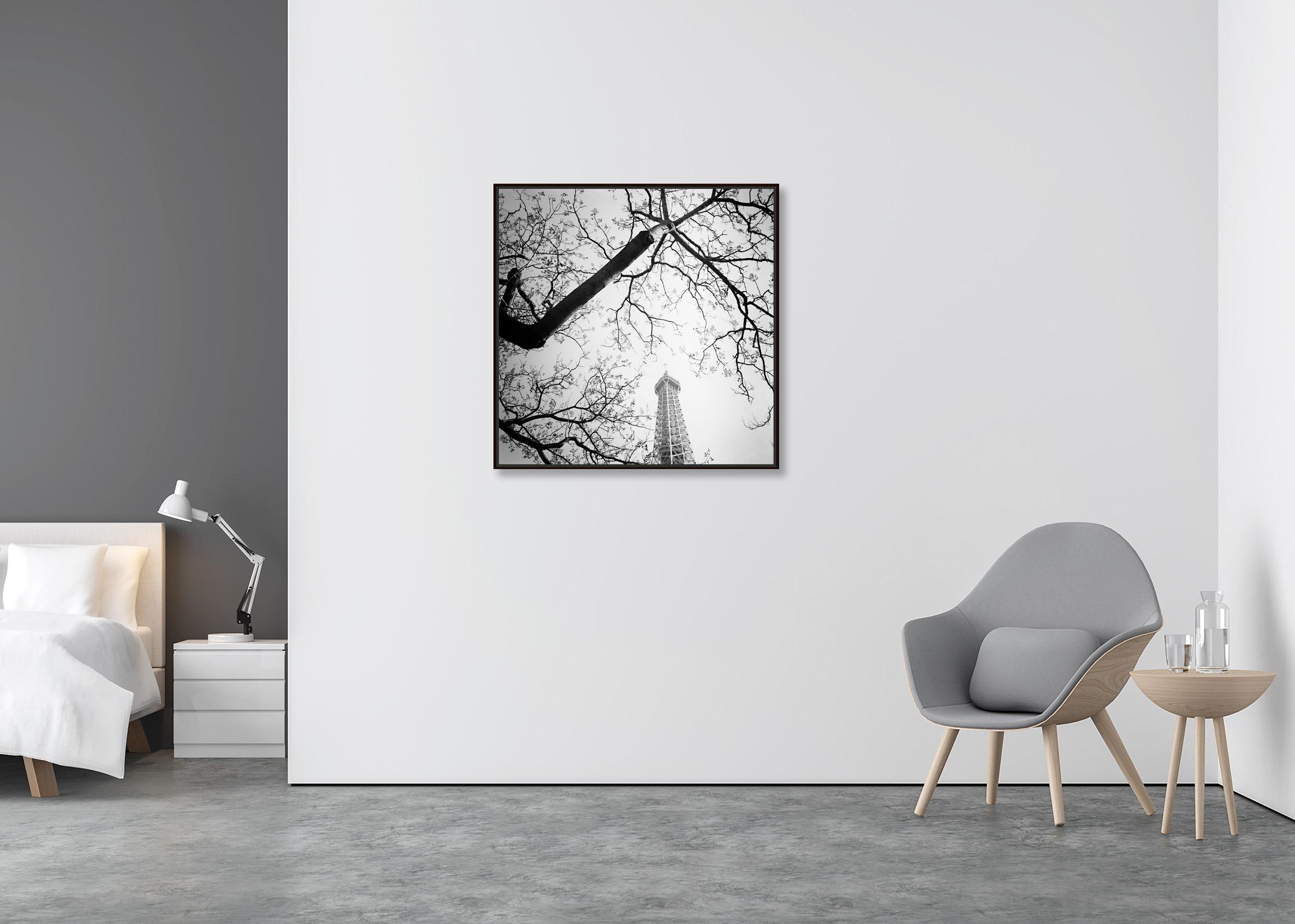 Tree and the Eiffel Tower, Paris, France, black white art landscape photography - Contemporary Photograph by Gerald Berghammer