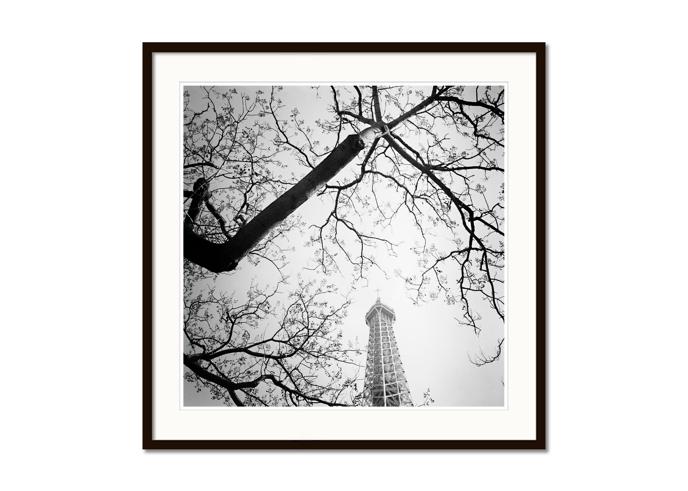 Tree and the Eiffel Tower, Paris, France, black white photography, landscape - Gray Black and White Photograph by Gerald Berghammer