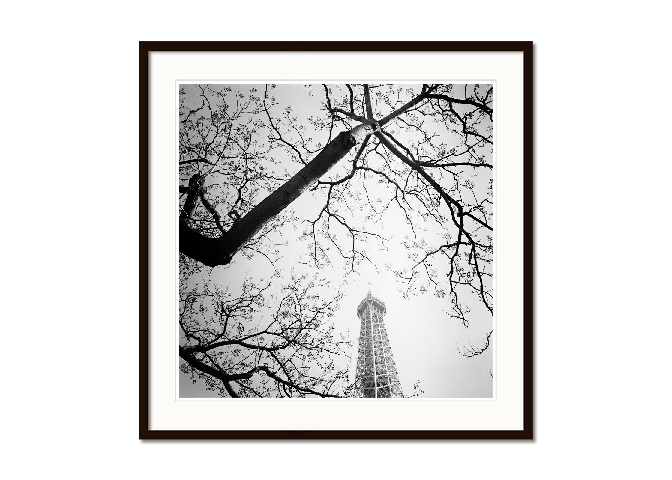 Tree and the Eiffel Tower, Paris, France, black white art landscape photography - Gray Landscape Photograph by Gerald Berghammer