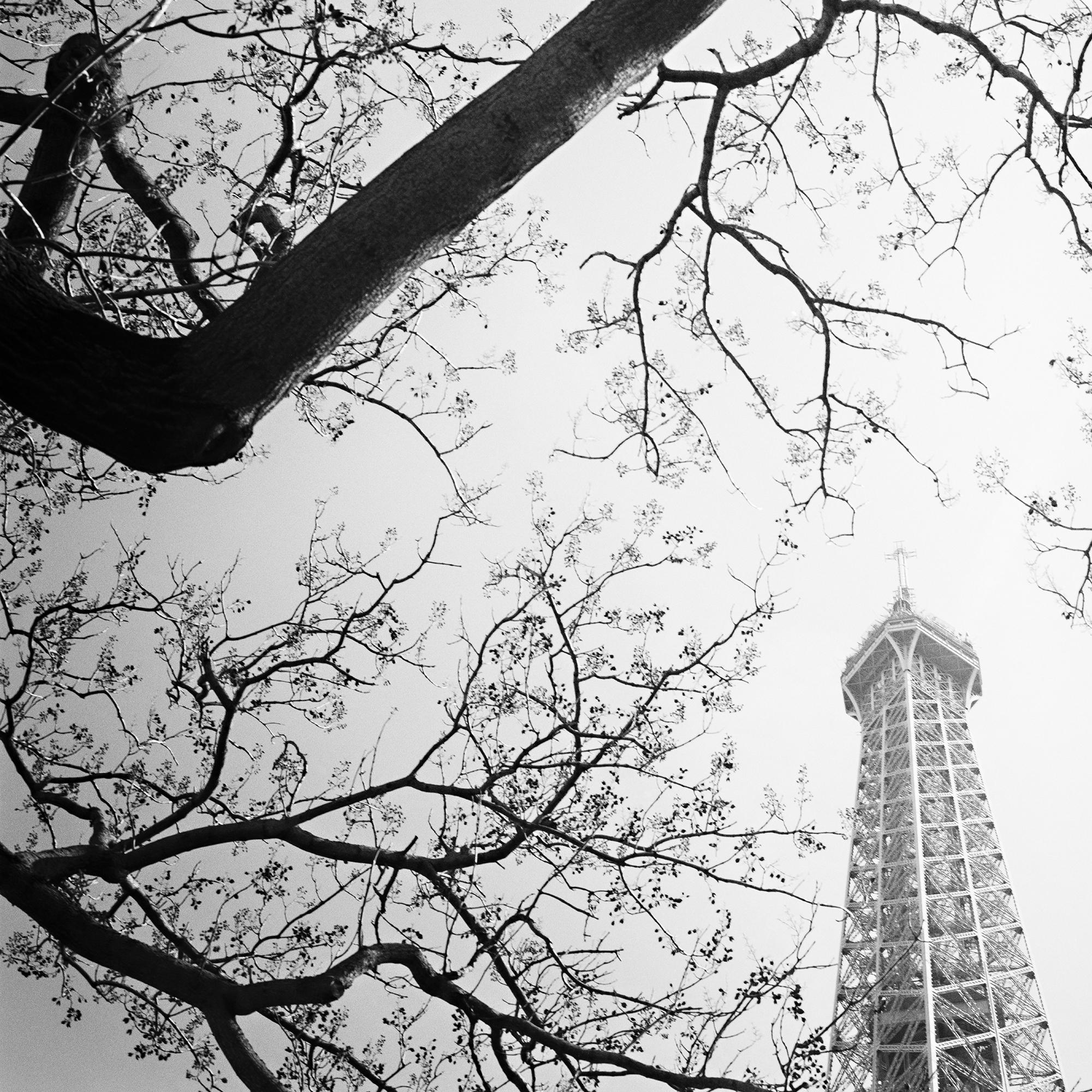 Tree and the Eiffel Tower, Paris, Frankreich, Schwarz-Weiß-Fotografie, Landschaft im Angebot 5