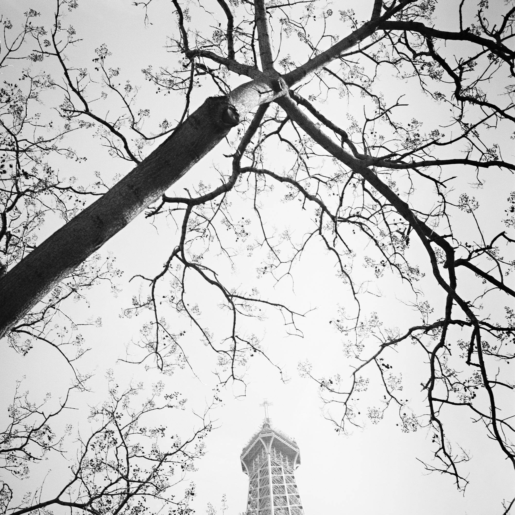 Tree and the Eiffel Tower, Paris, Frankreich, Schwarz-Weiß-Fotografie, Landschaft im Angebot 6