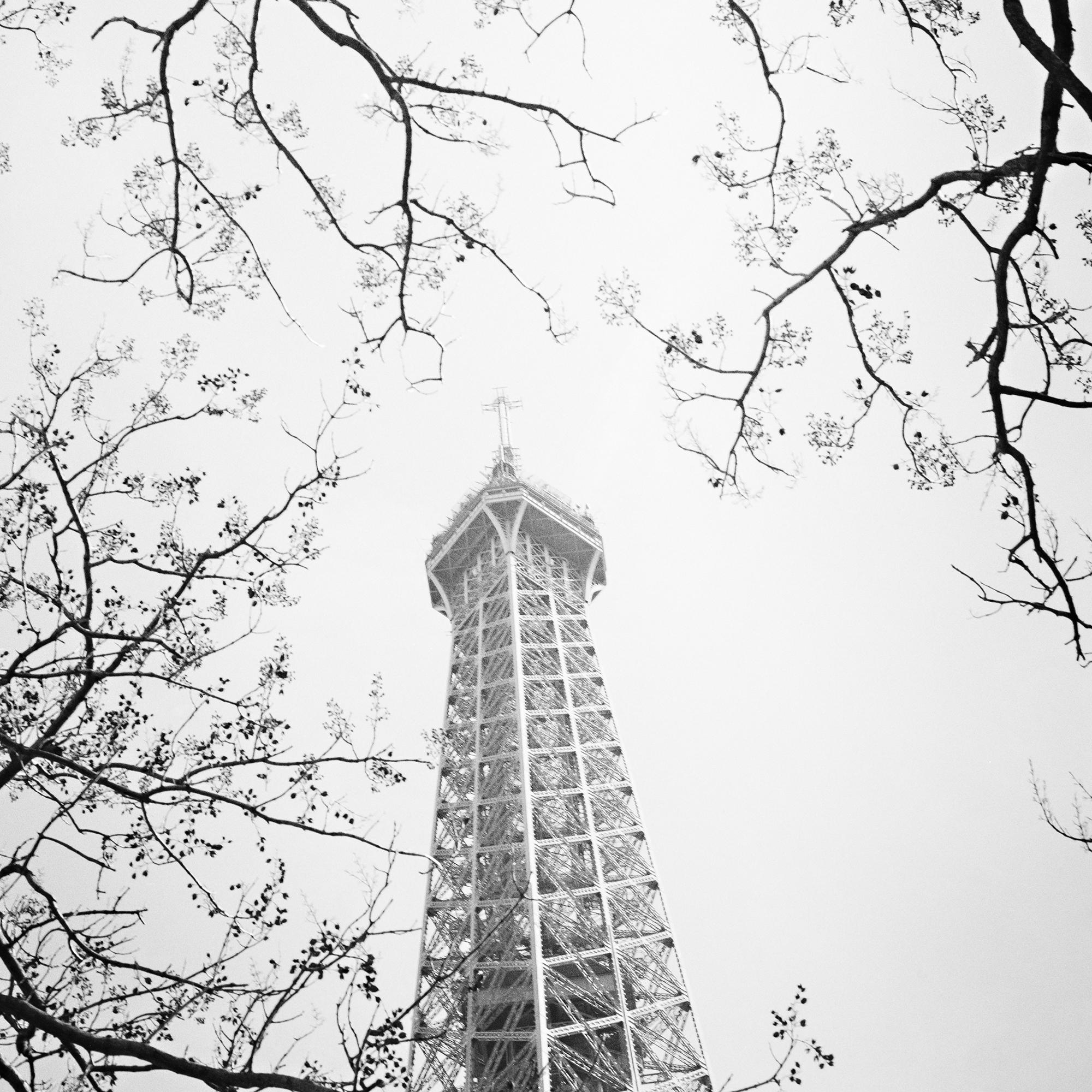 Tree and the Eiffel Tower, Paris, Frankreich, Schwarz-Weiß-Fotografie, Landschaft im Angebot 7