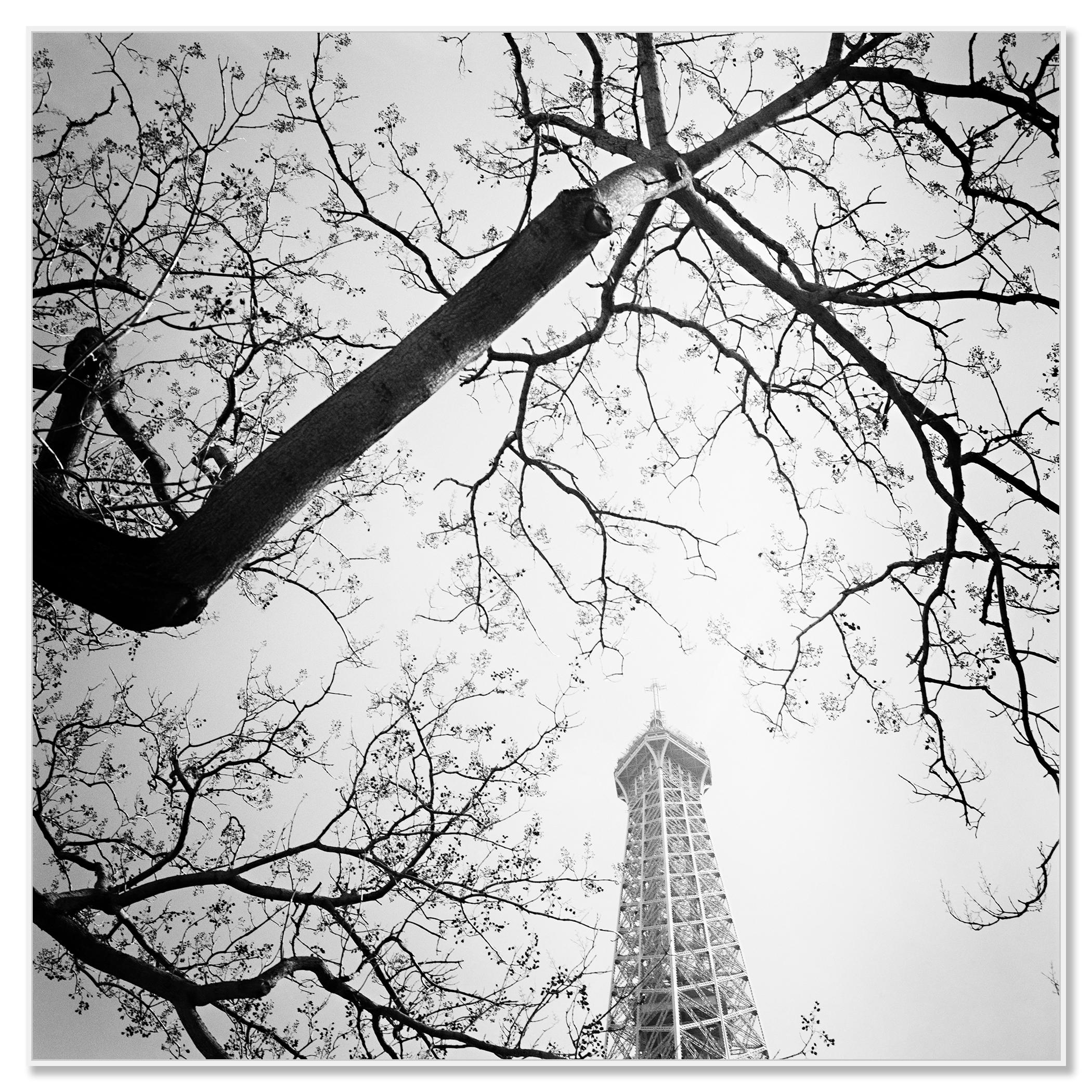 Tree and the Eiffel Tower, Paris, Frankreich, Schwarz-Weiß-Fotografie, Landschaft – Photograph von Gerald Berghammer