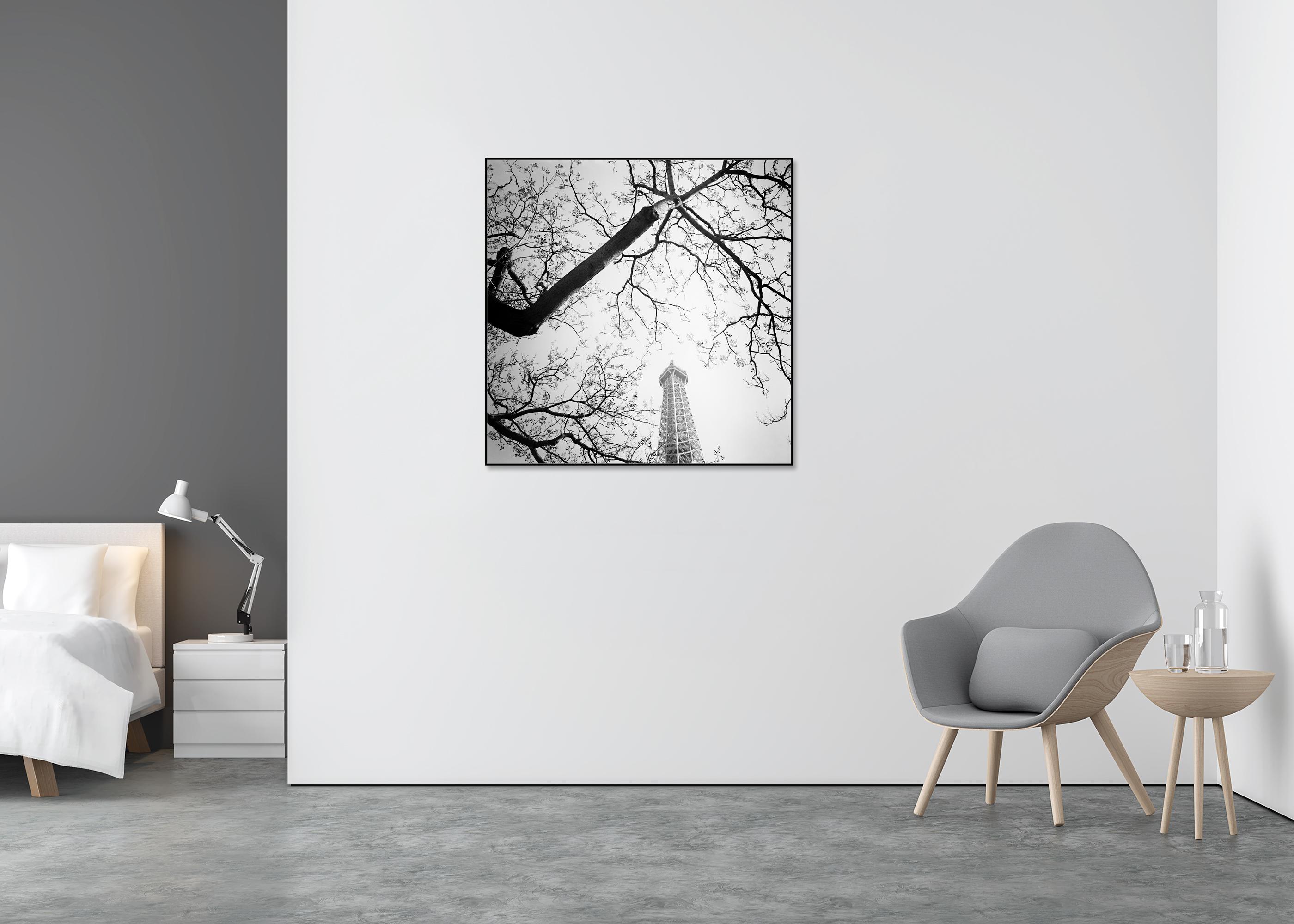 Tree and the Eiffel Tower, Paris, Frankreich, Schwarz-Weiß-Fotografie, Landschaft (Grau), Black and White Photograph, von Gerald Berghammer