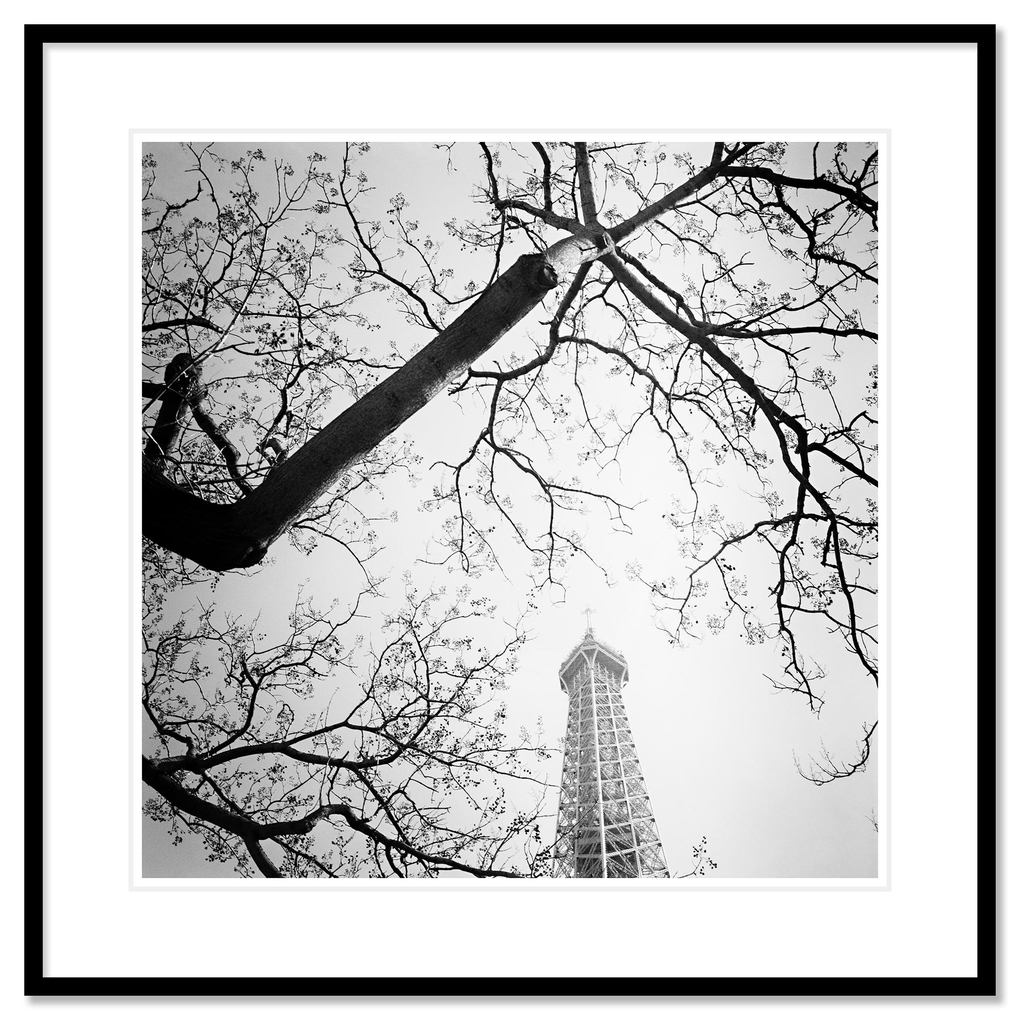 Tree and the Eiffel Tower, Paris, Frankreich, Schwarz-Weiß-Fotografie, Landschaft im Angebot 1