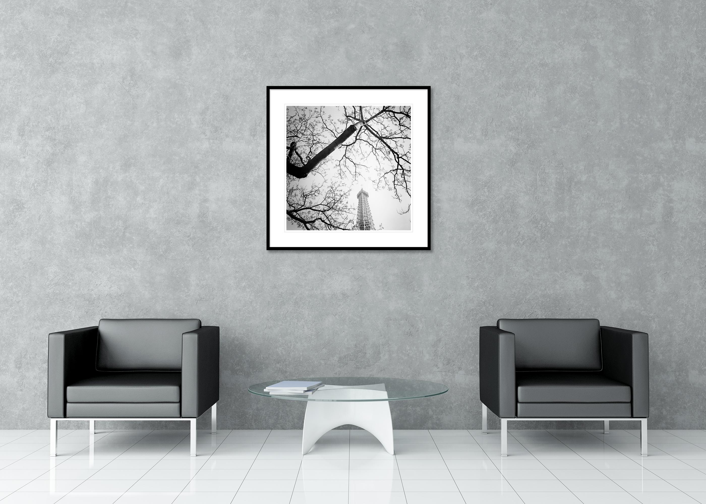Tree and the Eiffel Tower, Paris, Frankreich, Schwarz-Weiß-Fotografie, Landschaft im Angebot 2