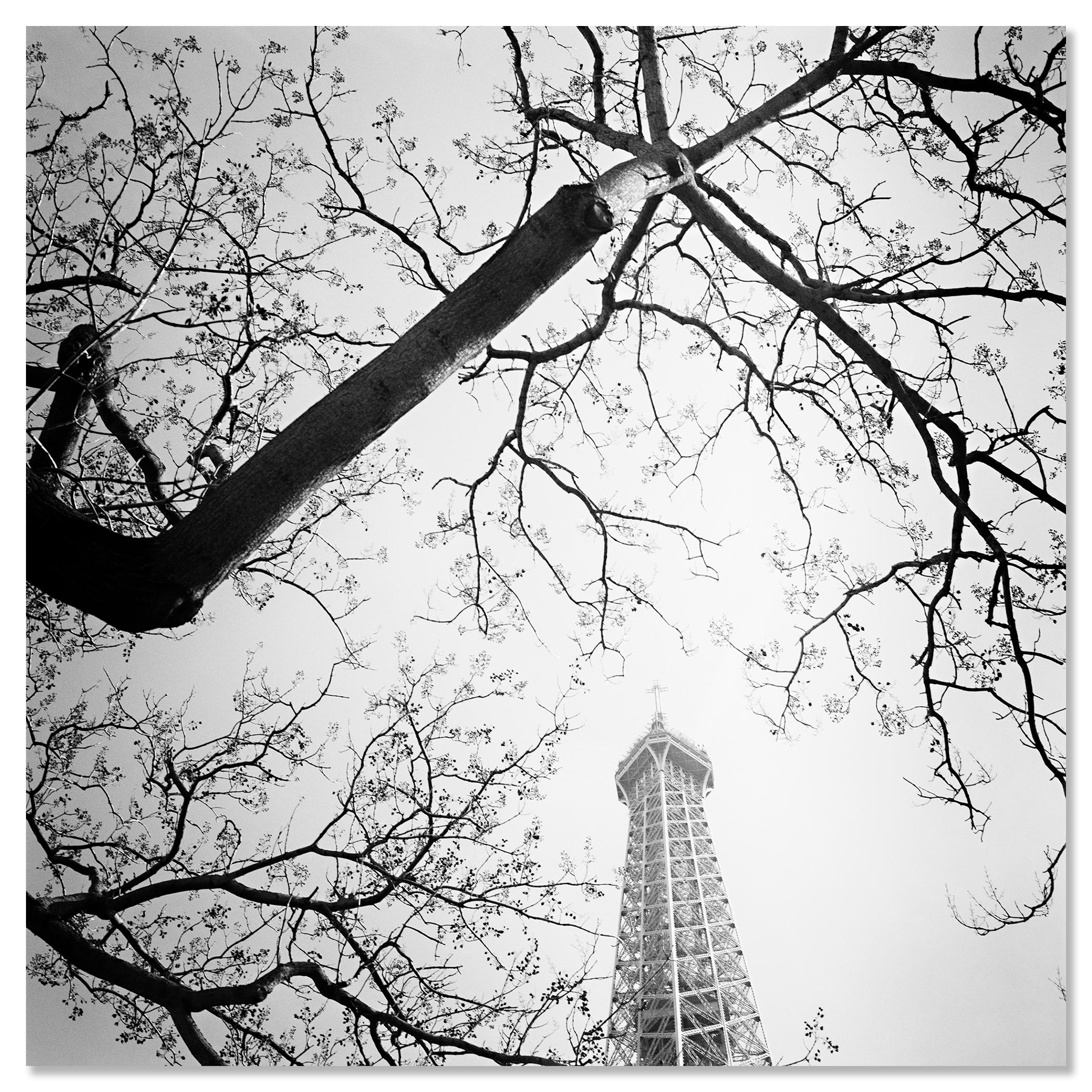 Tree and the Eiffel Tower, Paris, Frankreich, Schwarz-Weiß-Fotografie, Landschaft im Angebot 3