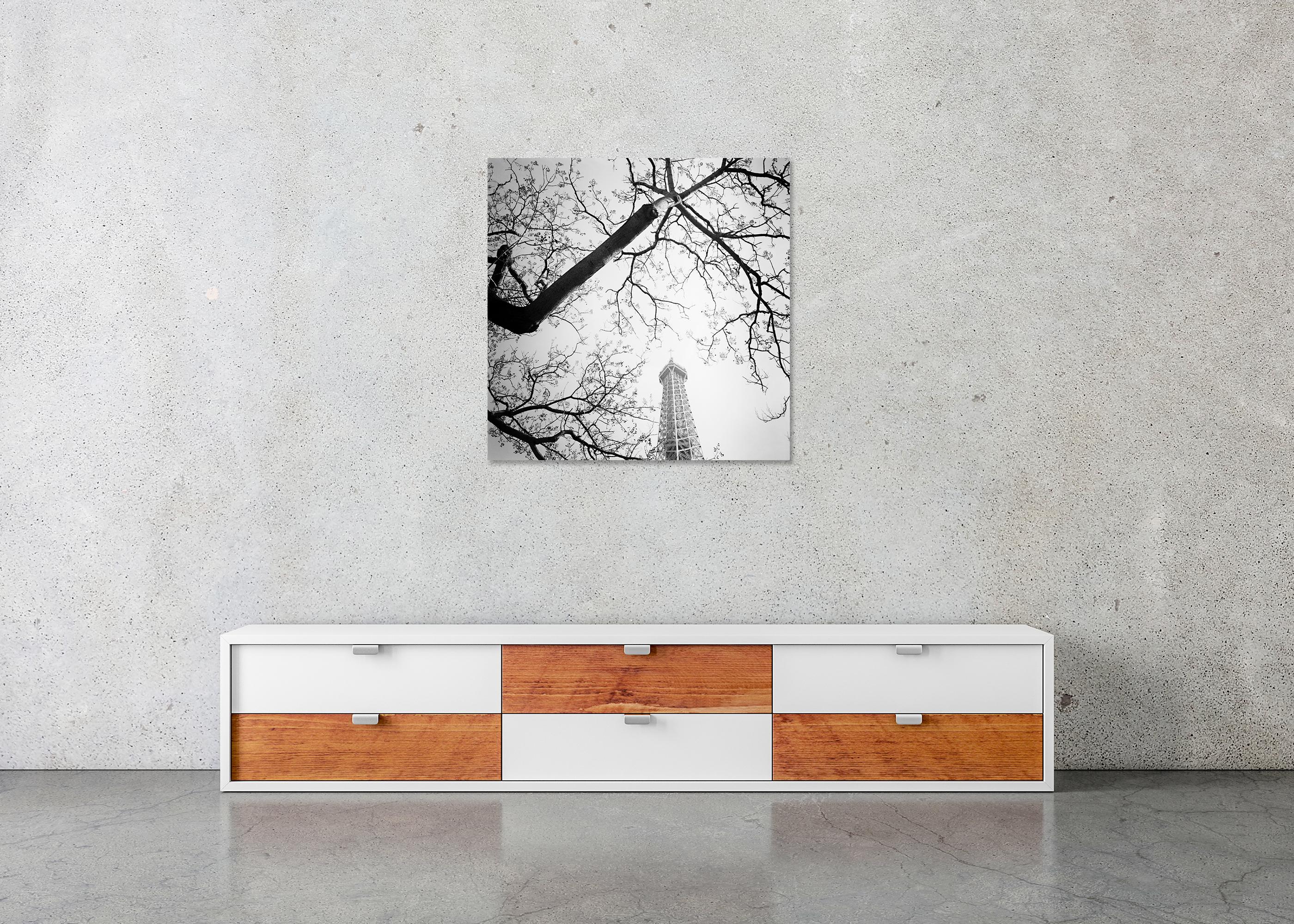 Tree and the Eiffel Tower, Paris, Frankreich, Schwarz-Weiß-Fotografie, Landschaft im Angebot 4