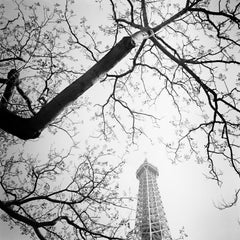 Tree and the Tower, Paris, France, black and white fineart landscape, wood frame