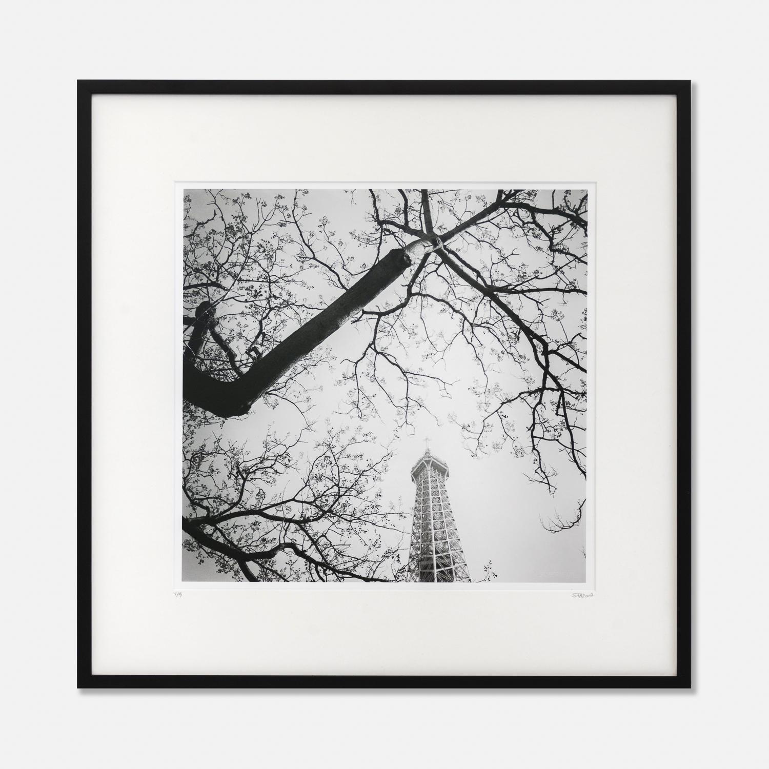 Tree and the Tower, Paris, France, black and white fineart landscape, wood frame
