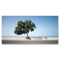 Tree by the calm sea panorama - minimalist landscape - Portugal - limited photo