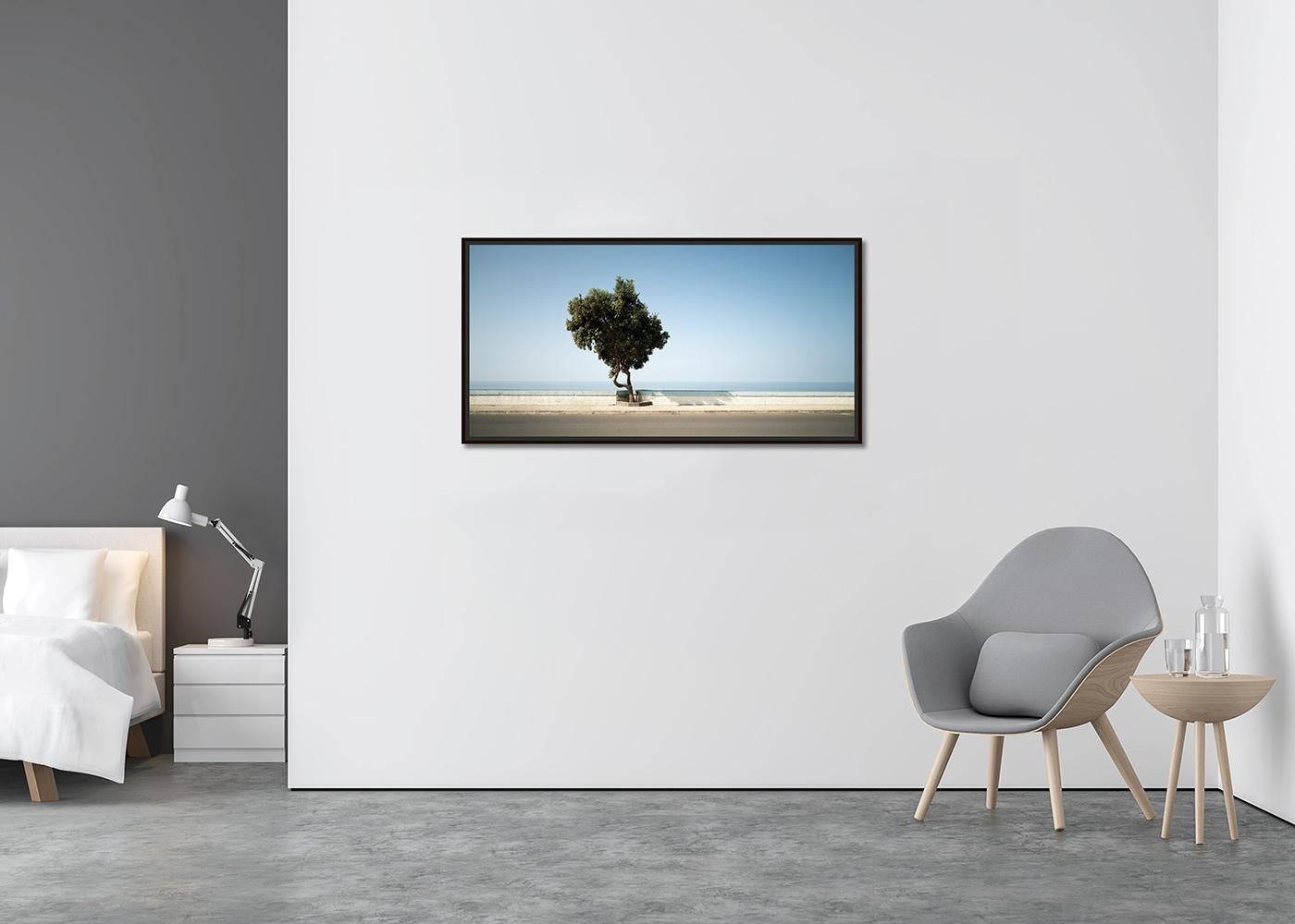 Tree, Calm Sea Panorama, große Farbfotografie, Landschaft, limitierte Auflage (Zeitgenössisch), Photograph, von Gerald Berghammer