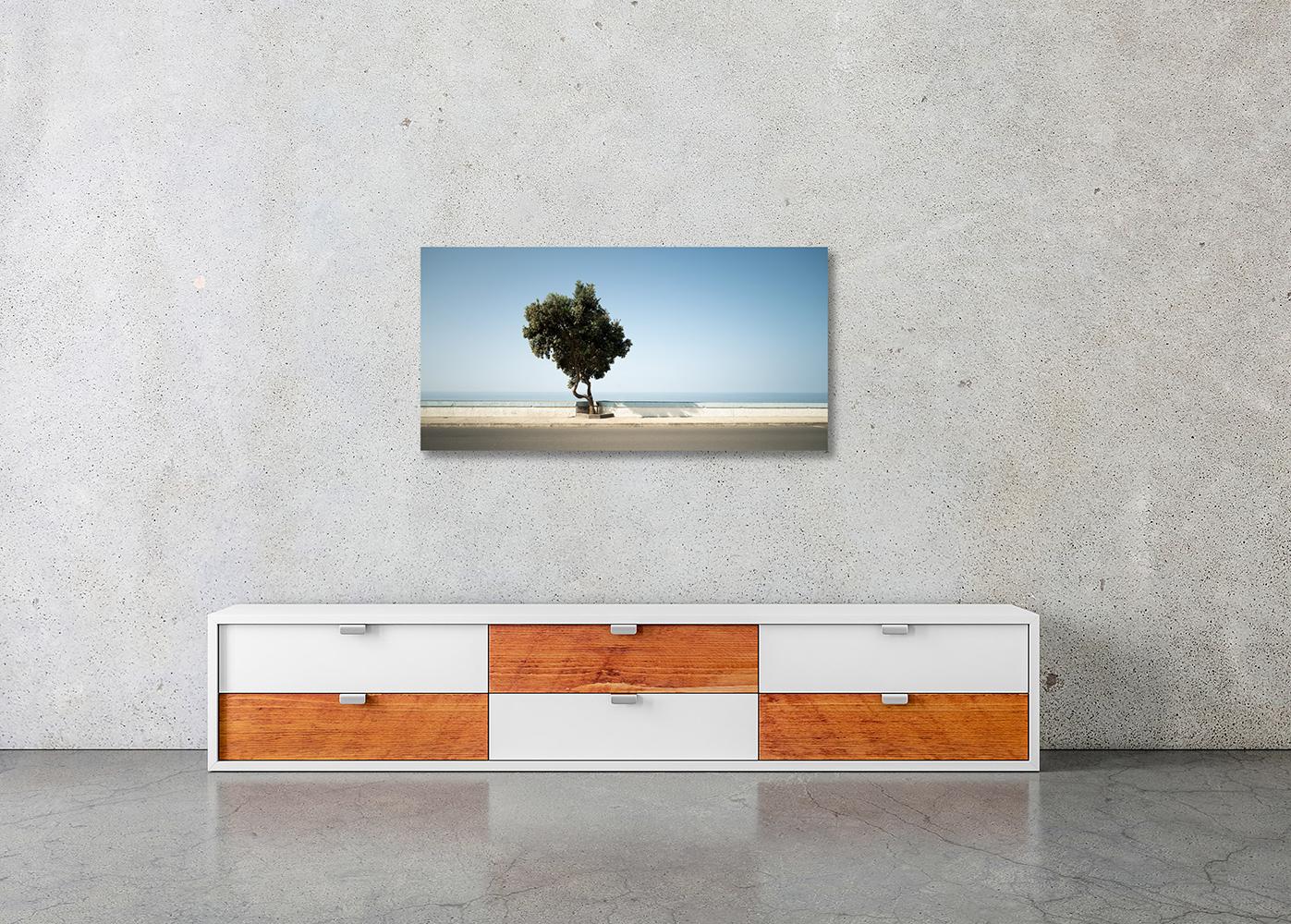 Tree, Calm Sea Panorama, große Farbfotografie, Landschaft, limitierte Auflage im Angebot 2