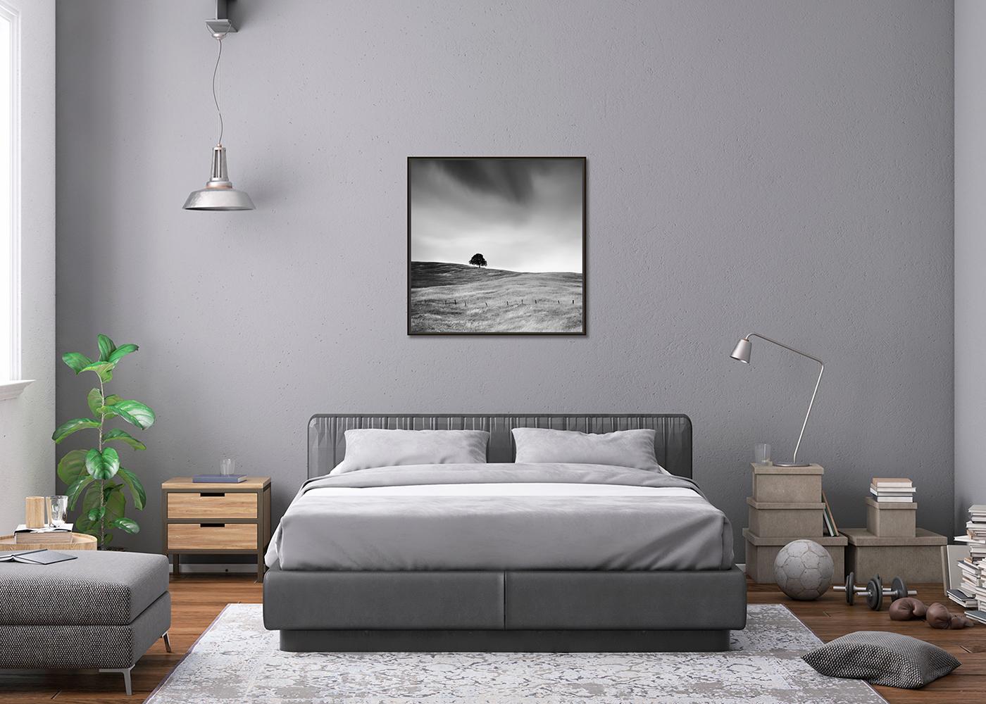 Tree in golden Grass, USA, limited edition photograph, monochrome landscape For Sale 1