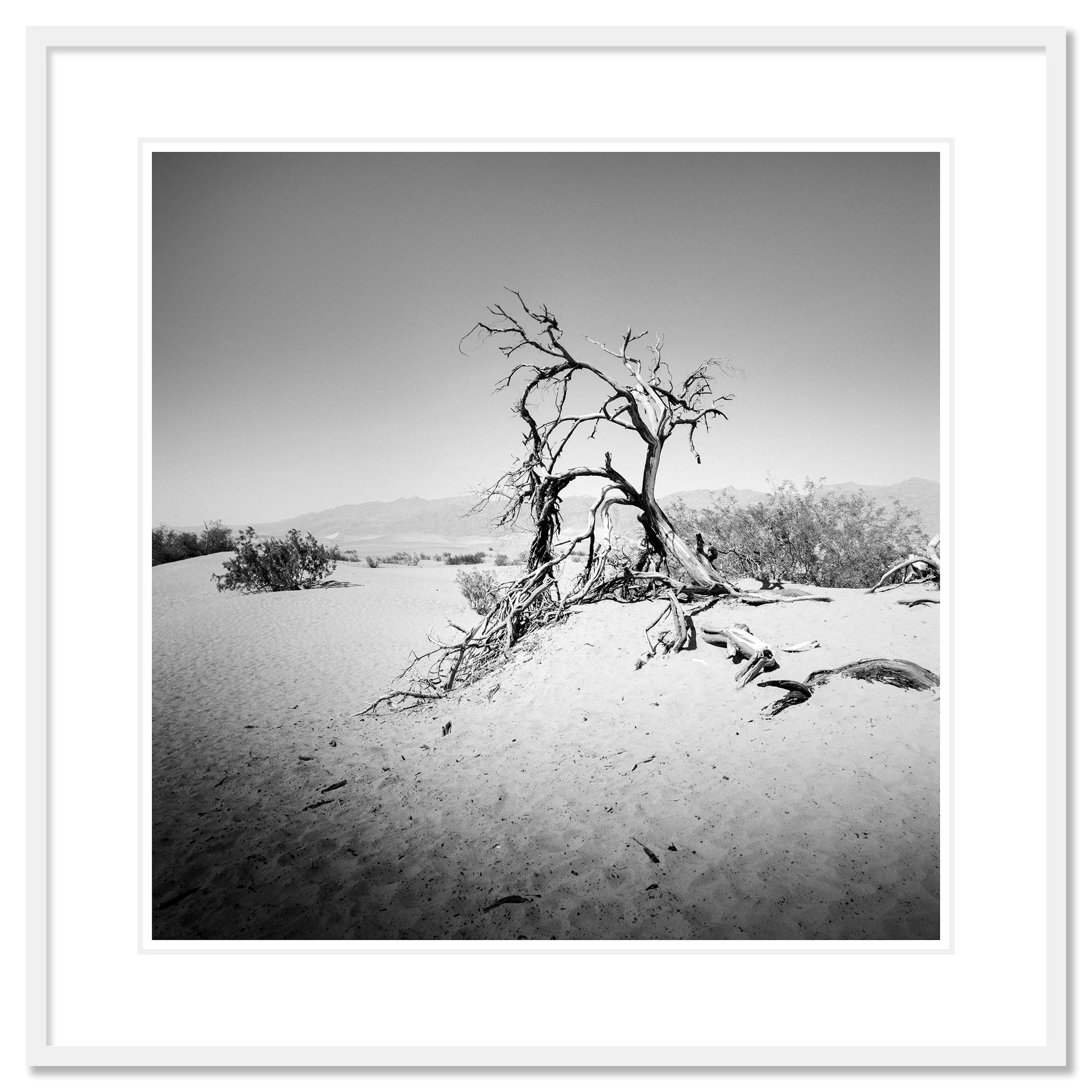 Photographie de paysage en noir et blanc. Tirage à l'encre pigmentaire d'archives faisant partie d'une édition limitée à 9 exemplaires. Tous les tirages de Gerald Berghammer sont réalisés sur commande en édition limitée sur papier baryté Hahnemuehle